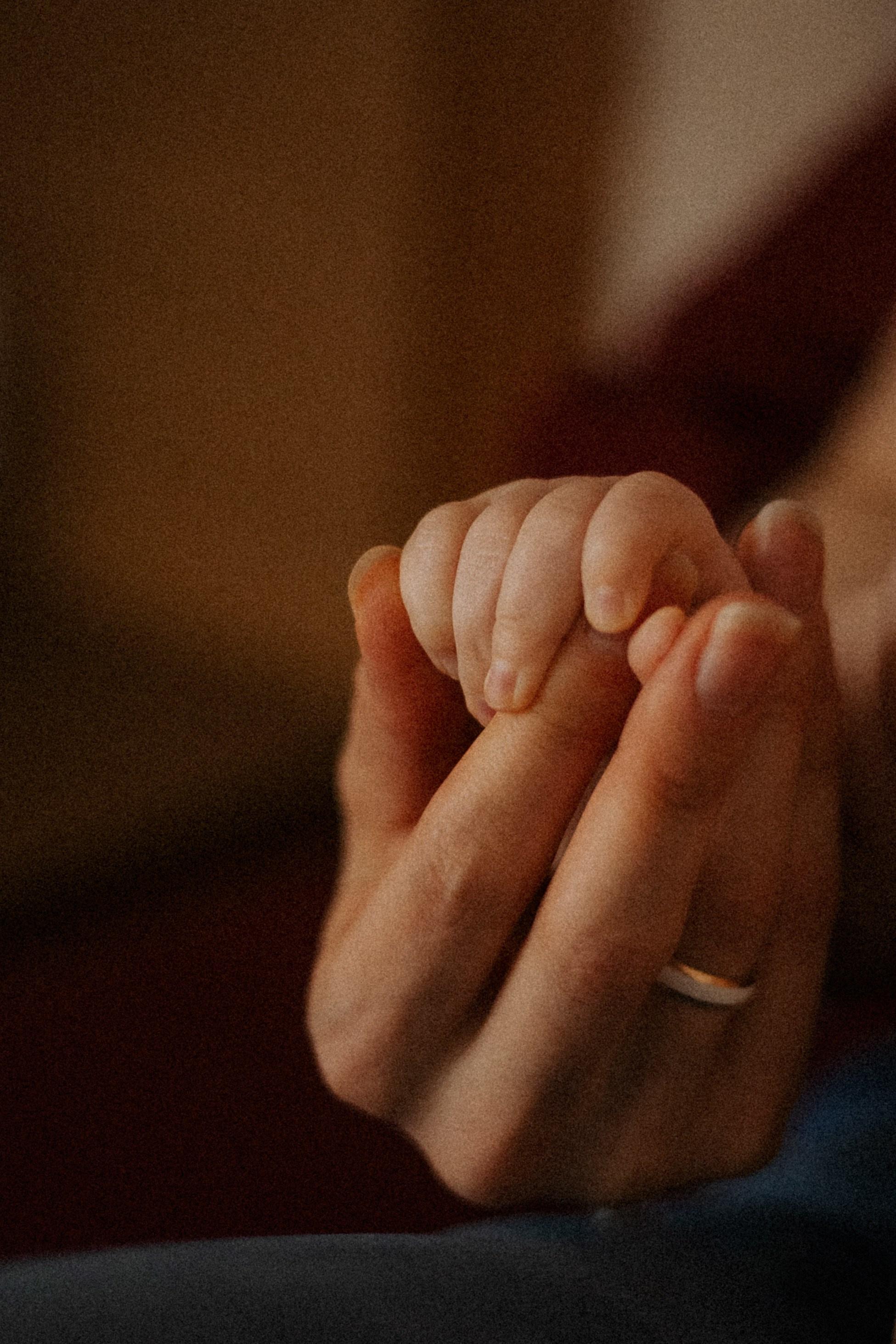 Алиса. Семейный фотограф Виктория Потехина Москва