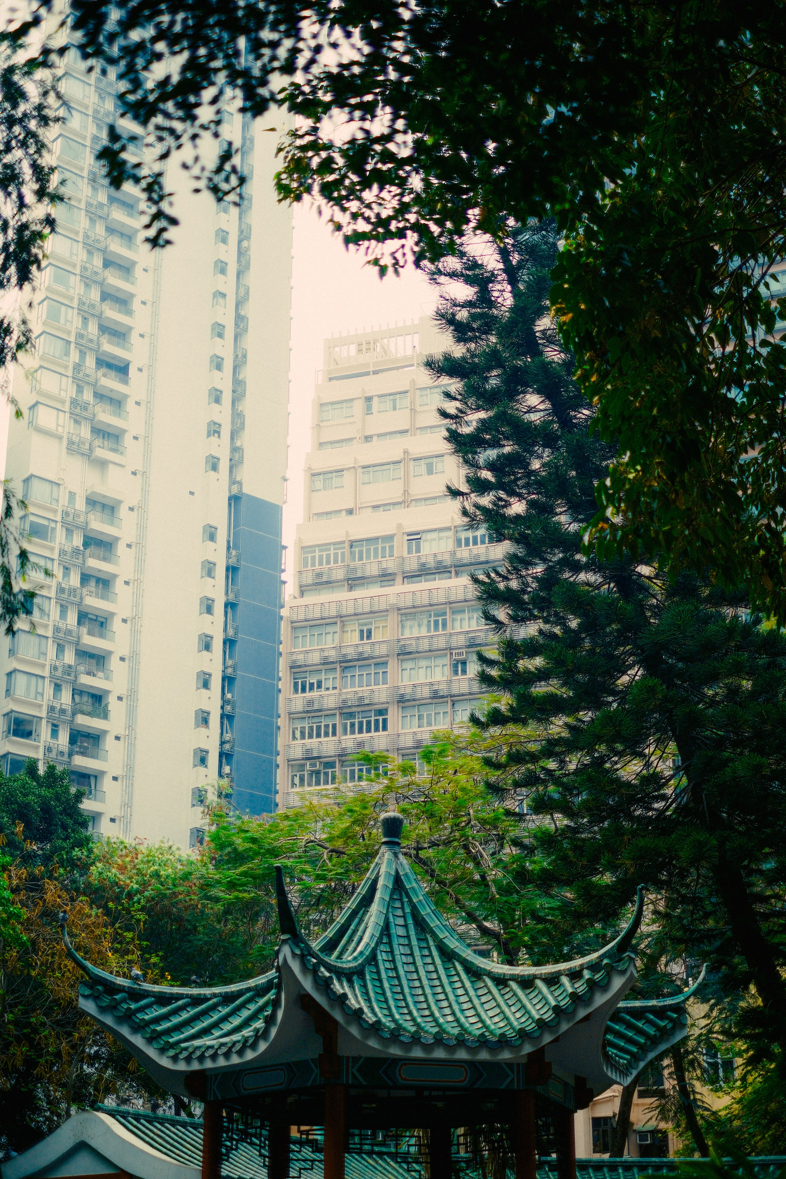 HongKong. Богдан Голубков — фотограф (notbogdang)