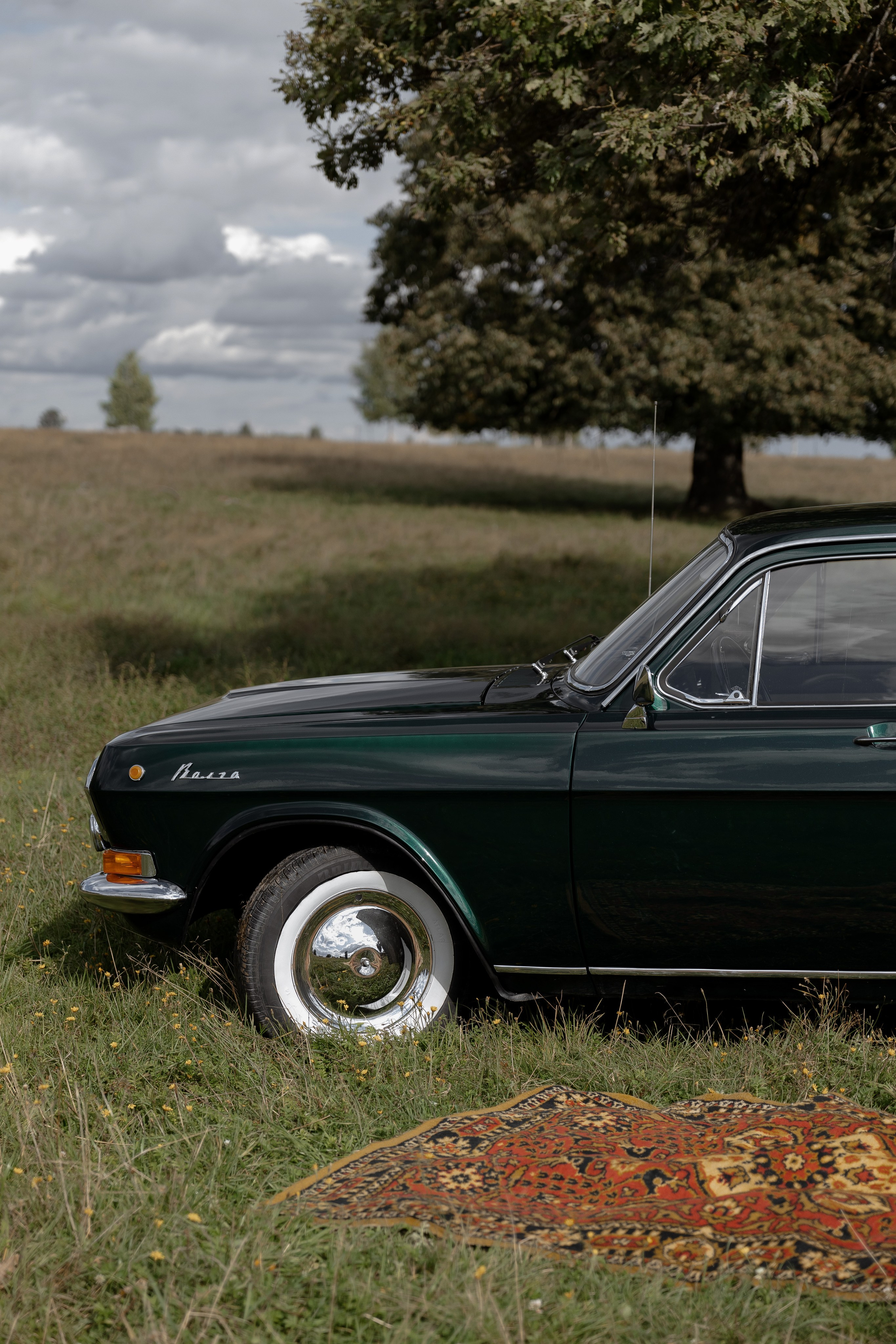 MARSEL | MARGO. Главная