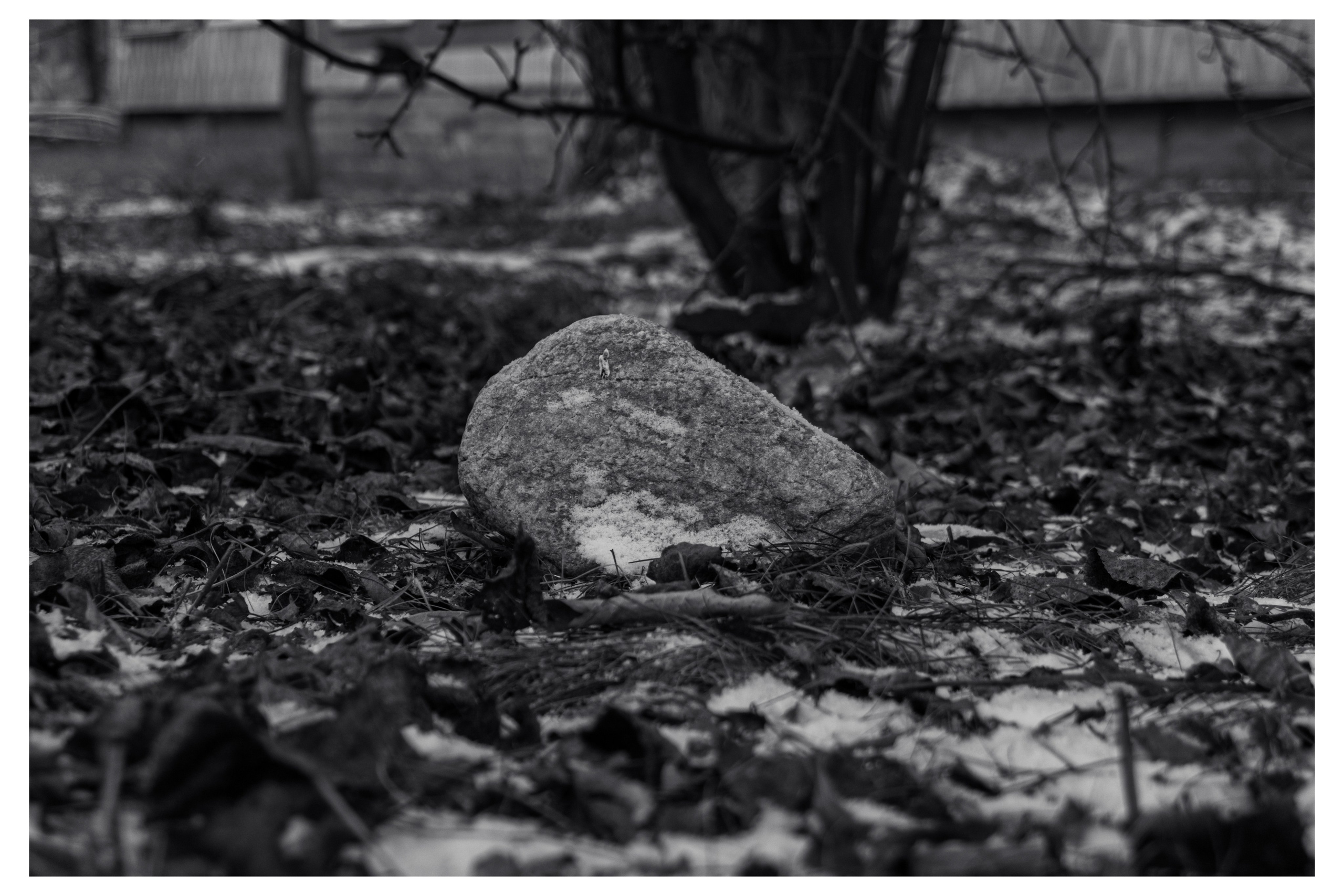 14.11.2025 | Сосновоборск. Kuznetsov | Фотограф в Красноярске