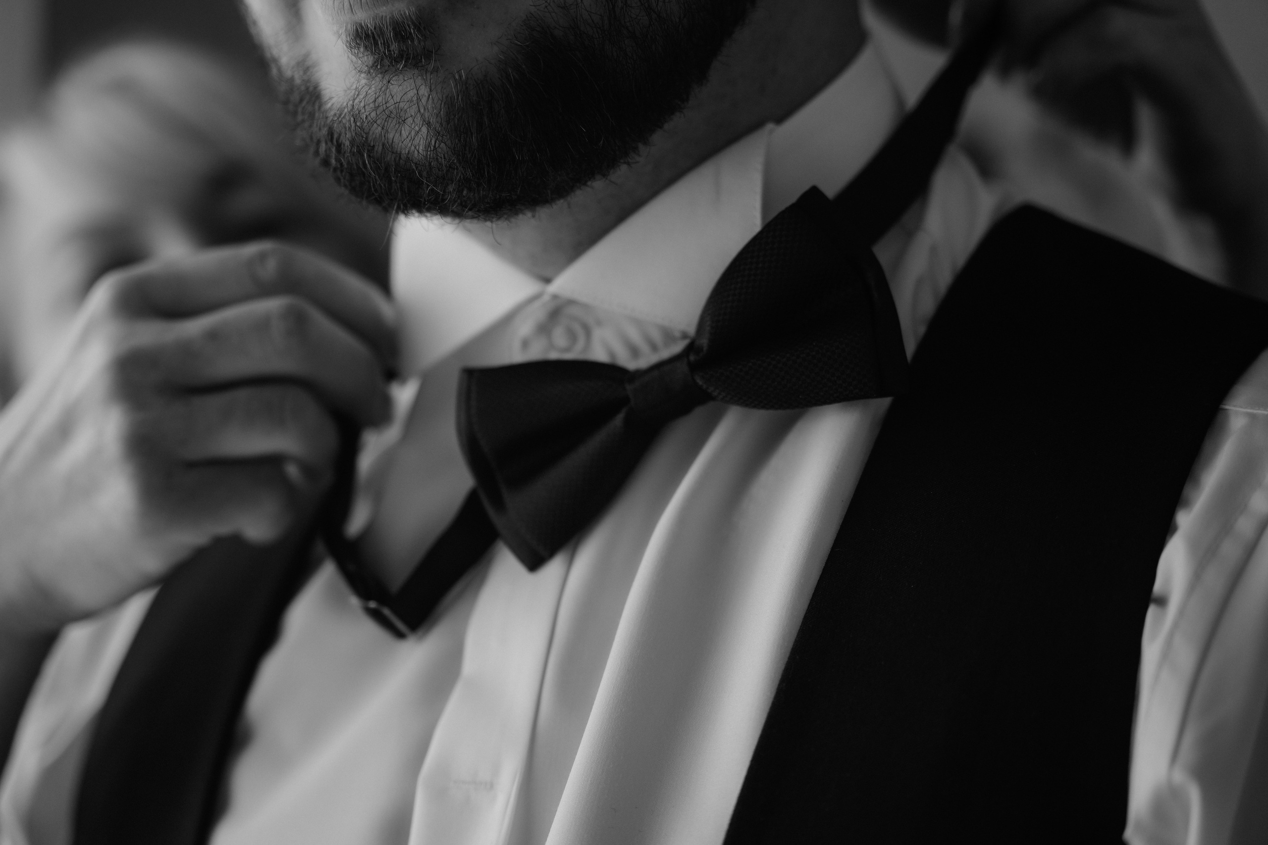 Astoria. VISUAL ARTIST · KRONGAUZ ANASTASIA