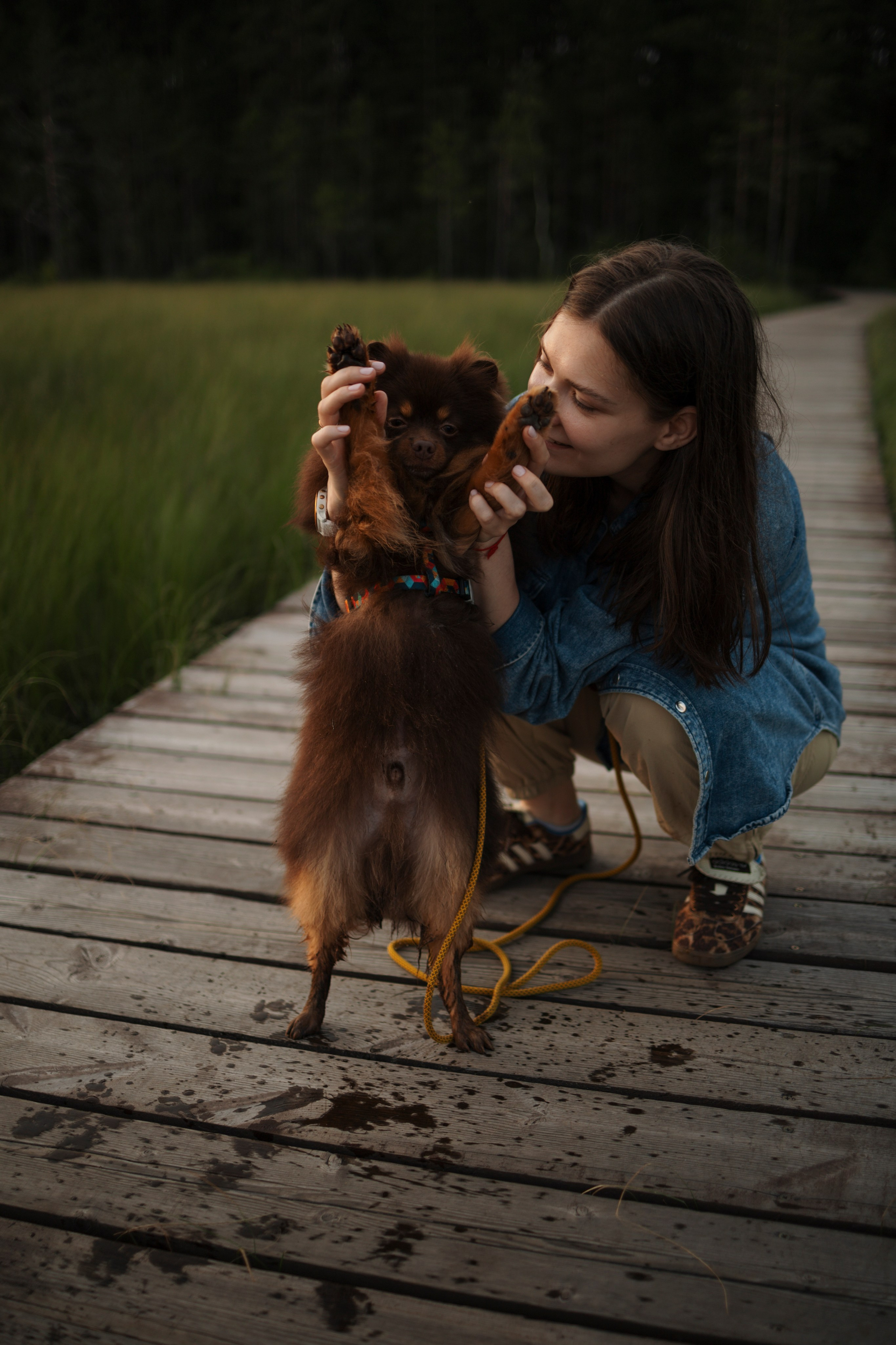 Сапфир и его семья. Фотограф-анималист в Санкт-Петеребурге Титова Алиса