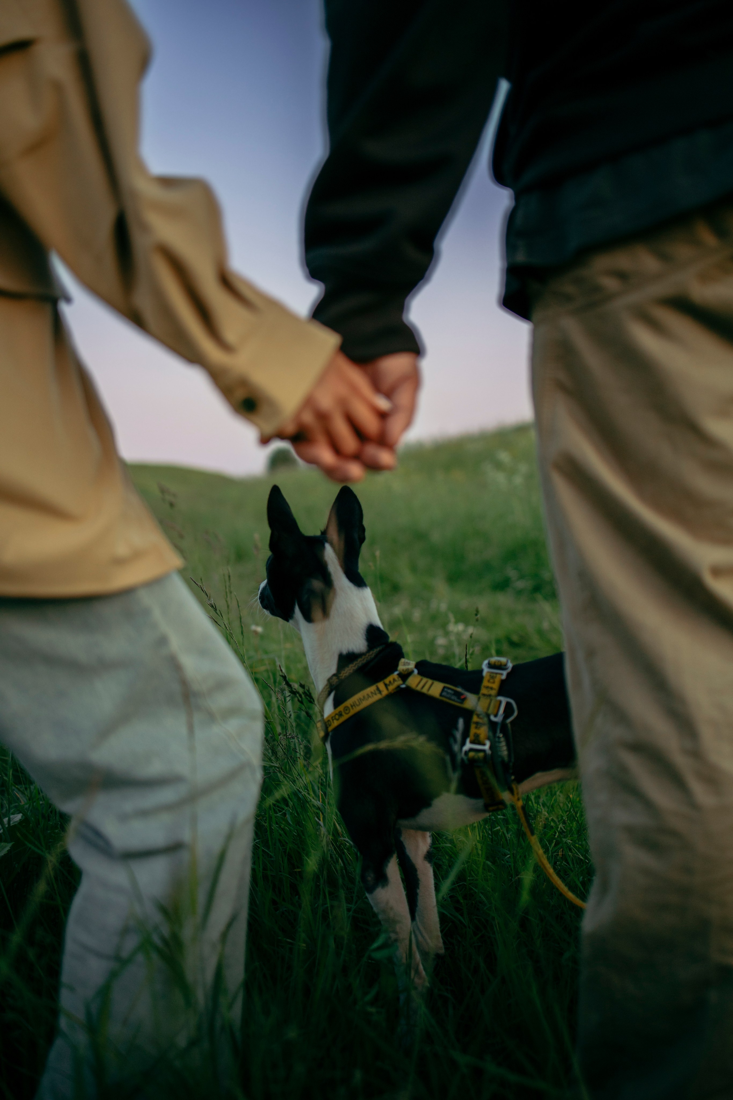 Итачи и его семья 🐾. Фотограф-анималист в Санкт-Петеребурге Титова Алиса