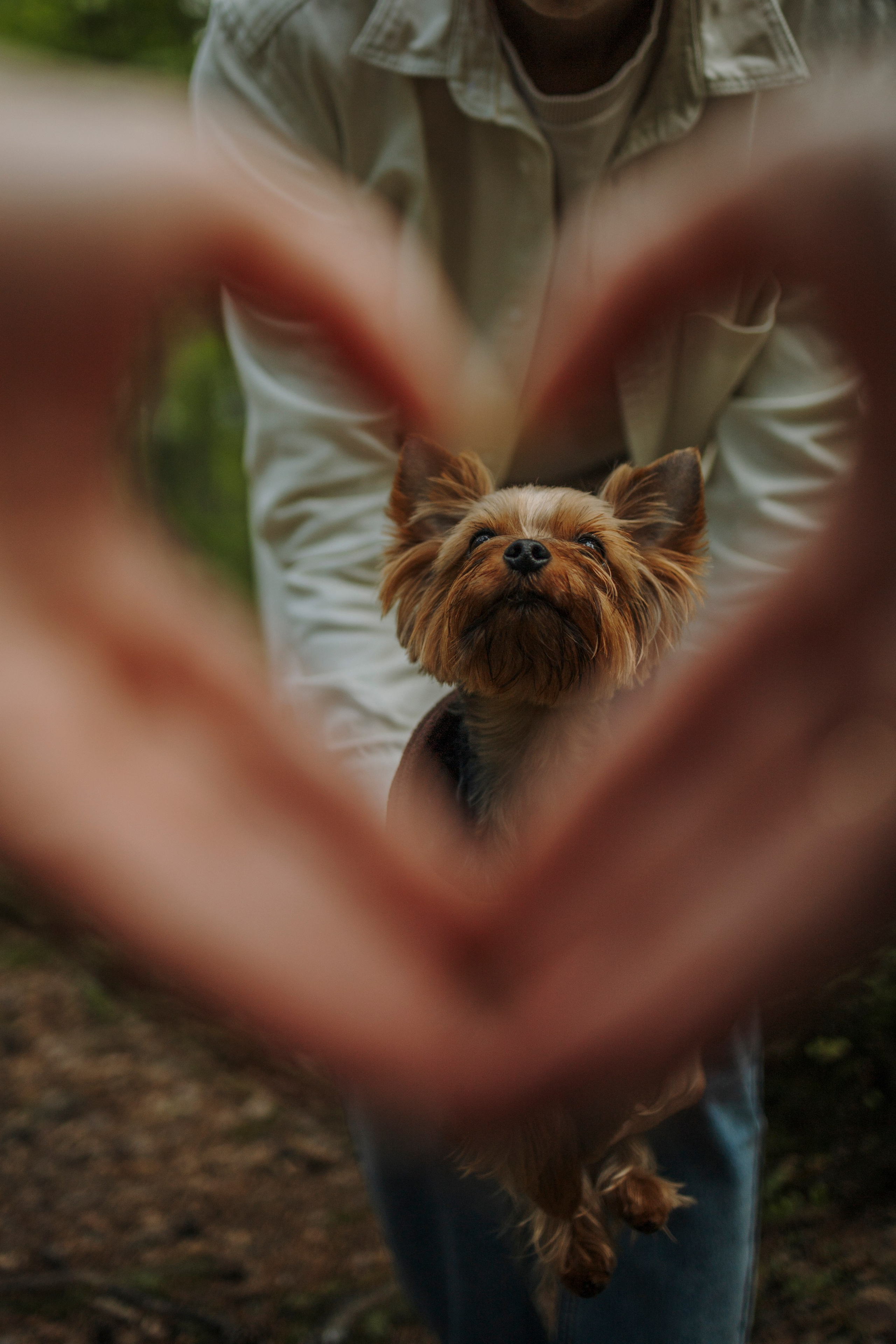 День из жизни Чуи и его семьи. Фотограф-анималист в Санкт-Петеребурге Титова Алиса
