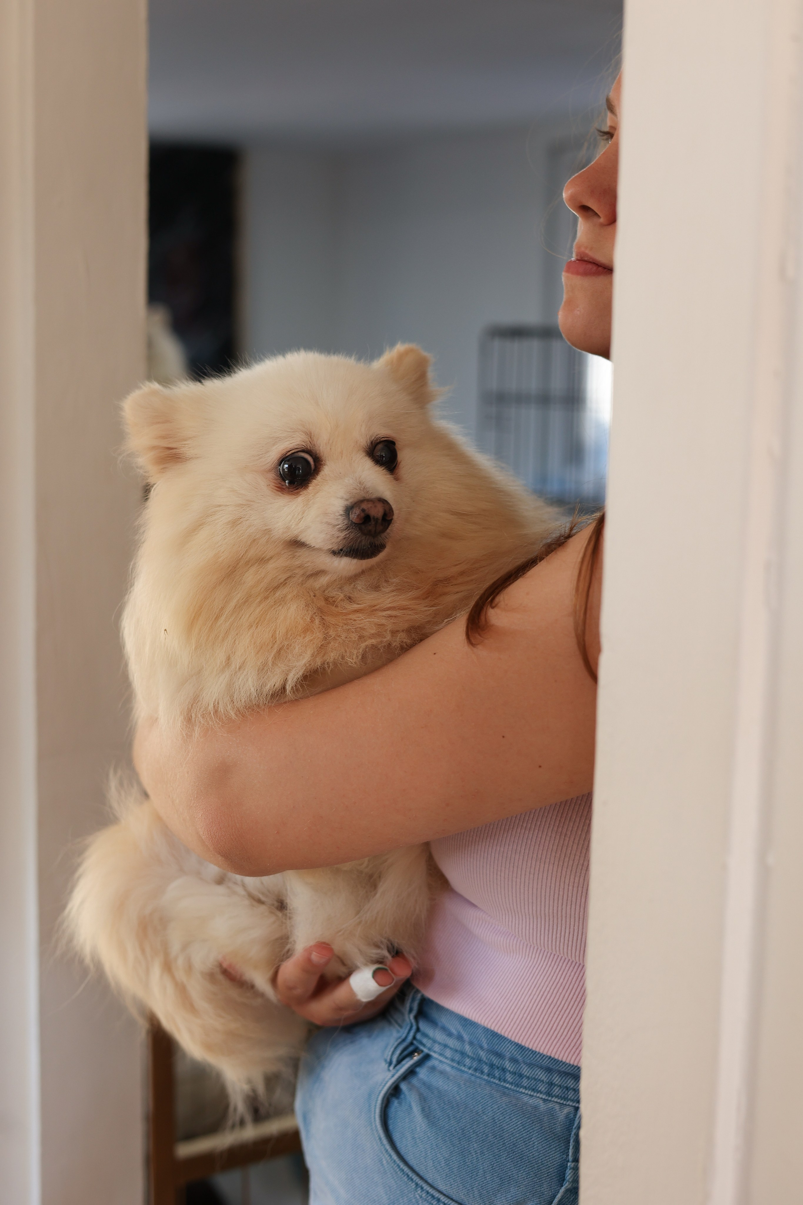 Апероль 1 годик. Фотограф Санкт-Петербург