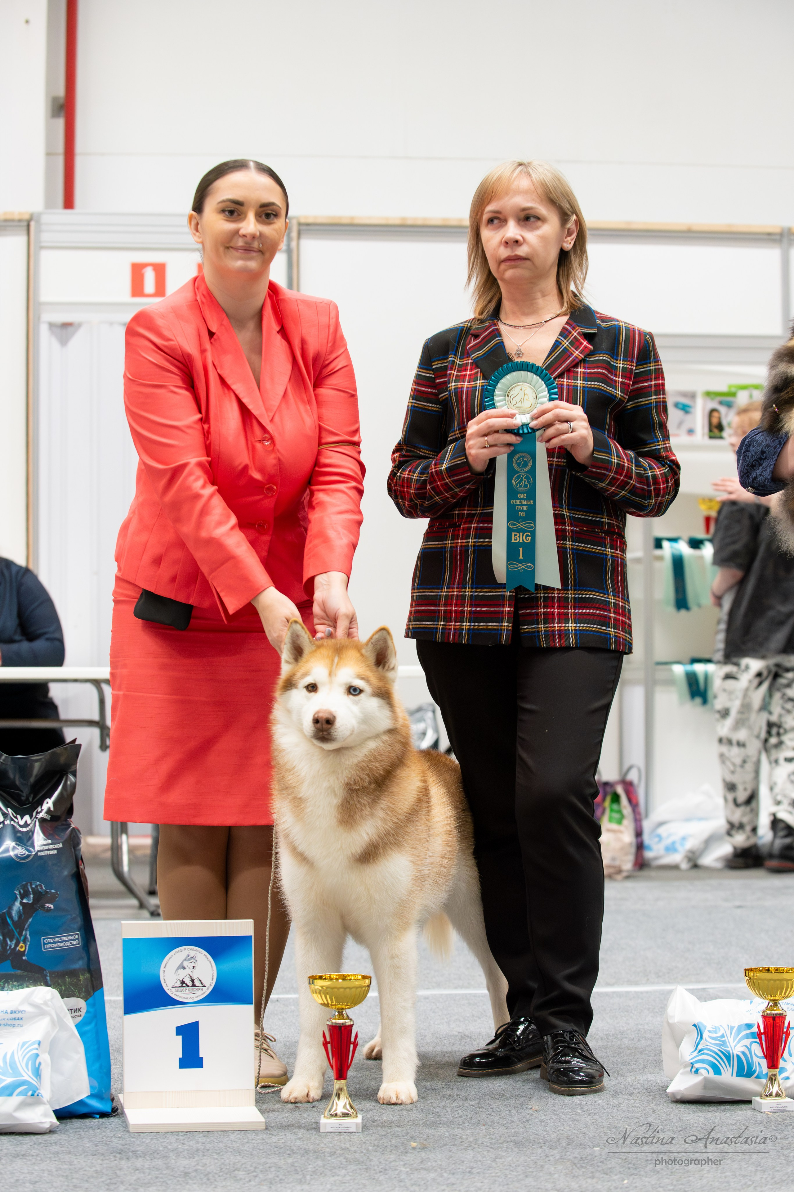 Выставки. Фотограф — Анималист