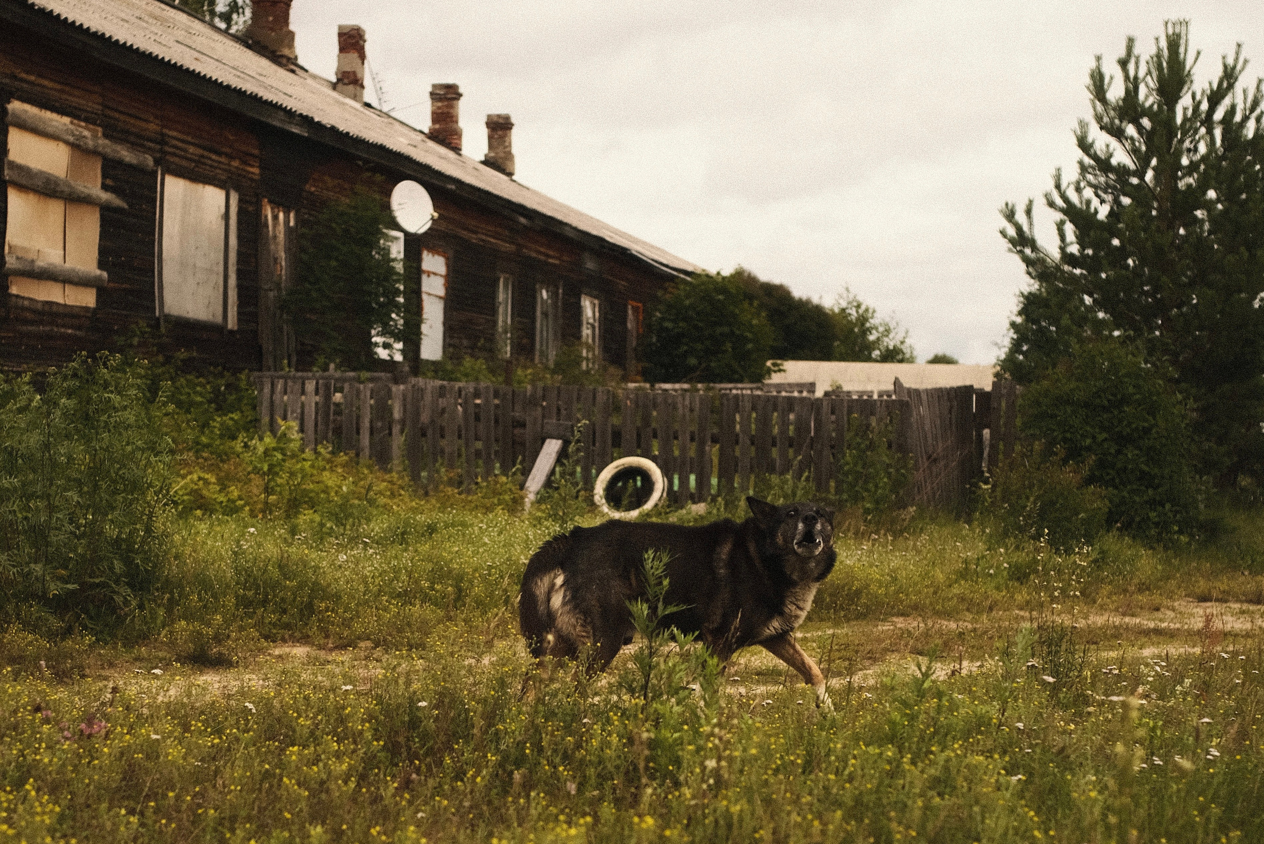 Стрит-фотография Сыктывкар. Фотограф-любитель из Кирова Андрей Погребняк