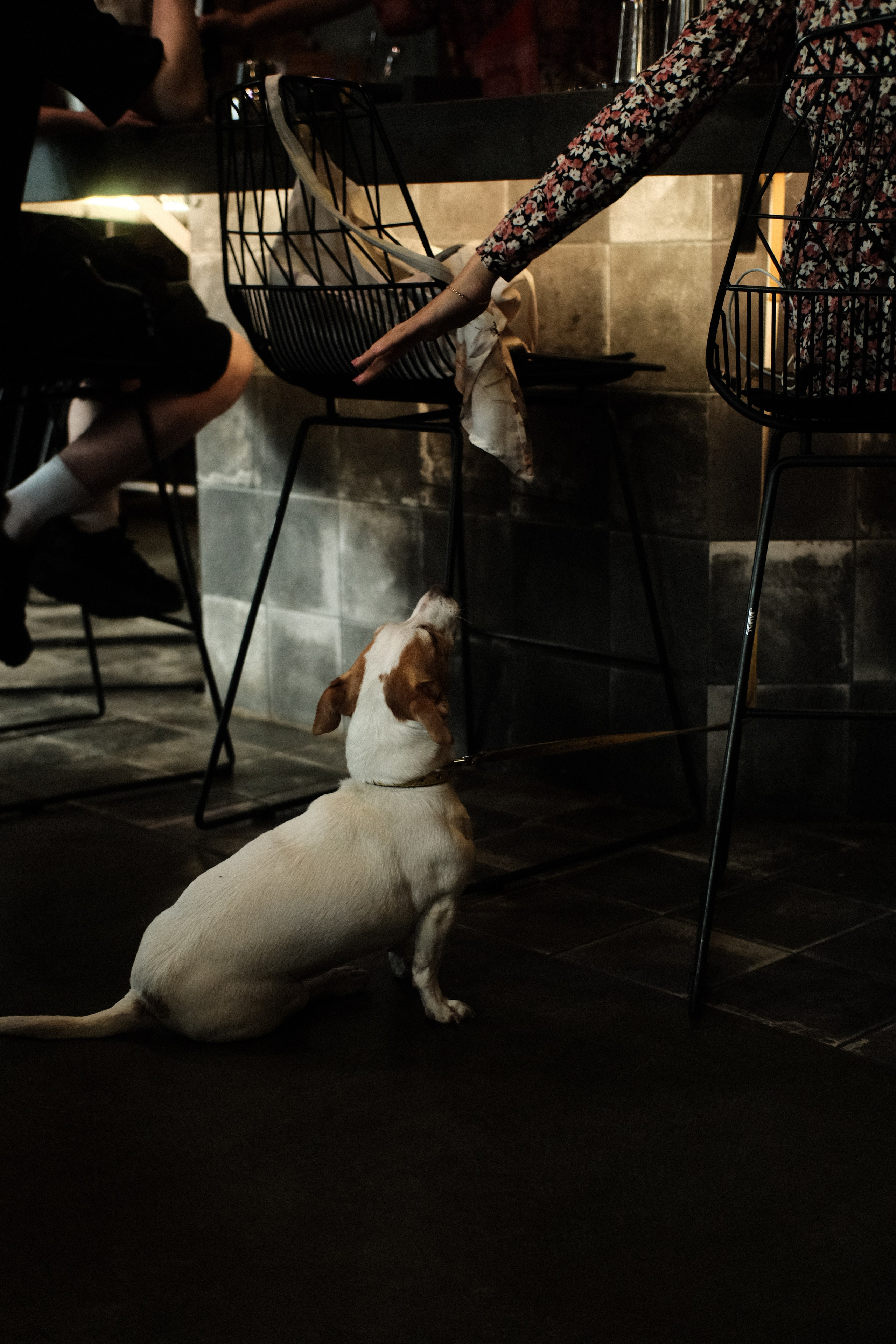 Уличная фотография из Кирова. Фотограф-любитель из Кирова Андрей Погребняк