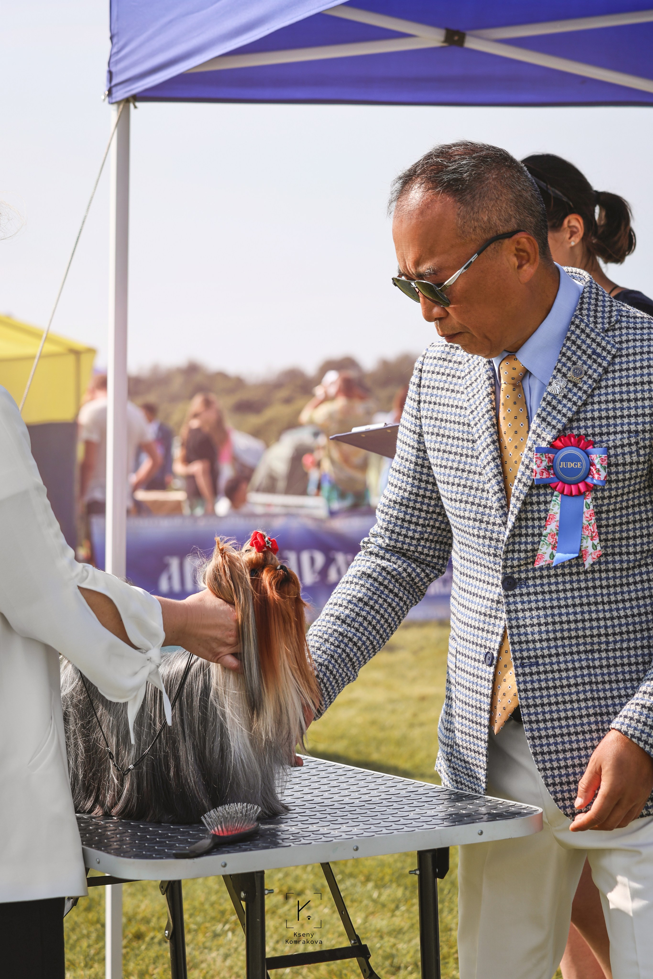 Съемка собак. Анималистика. Репортаж. Индивидуальная съемка