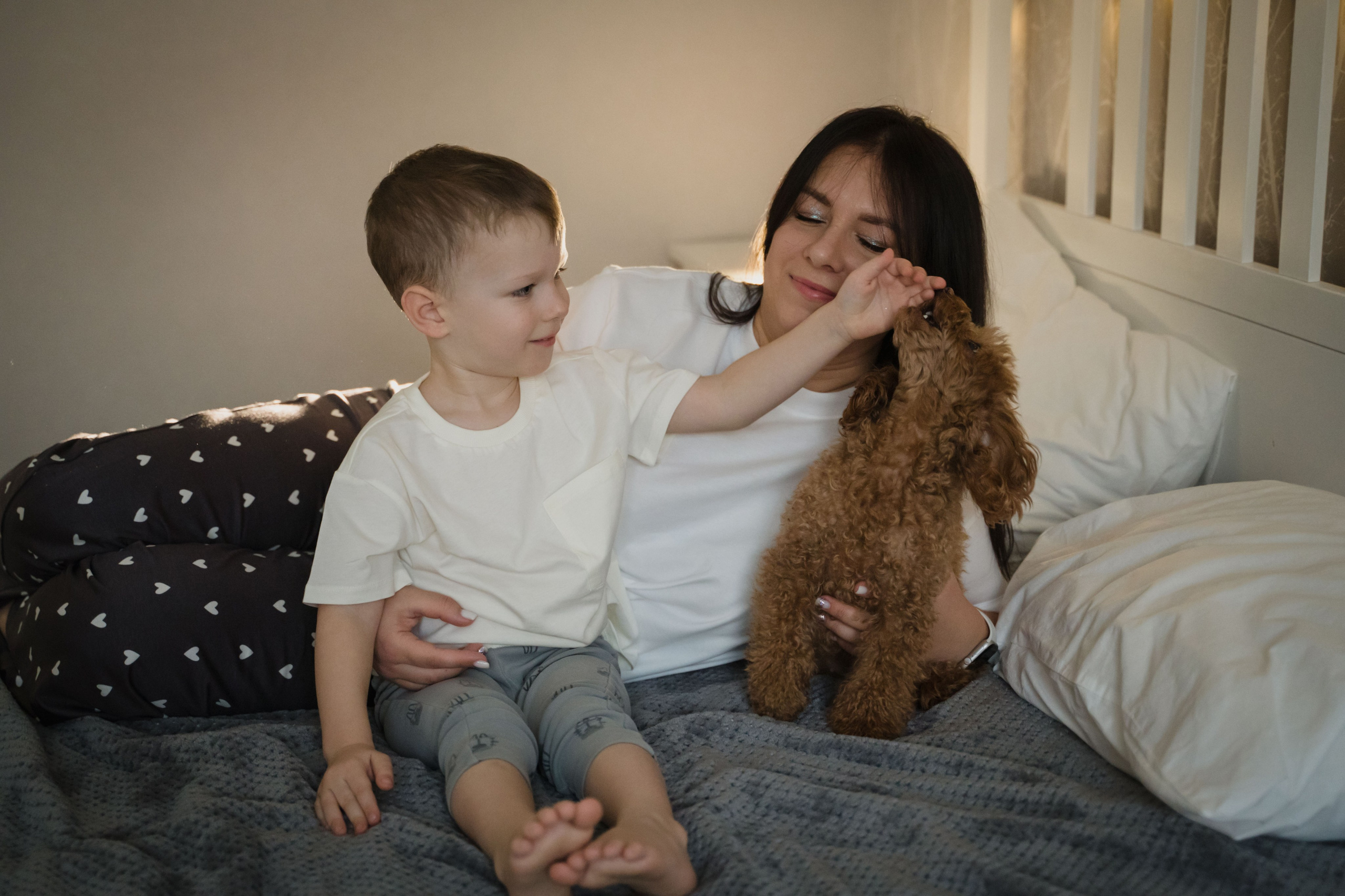 Предновогодний вечер. Главная