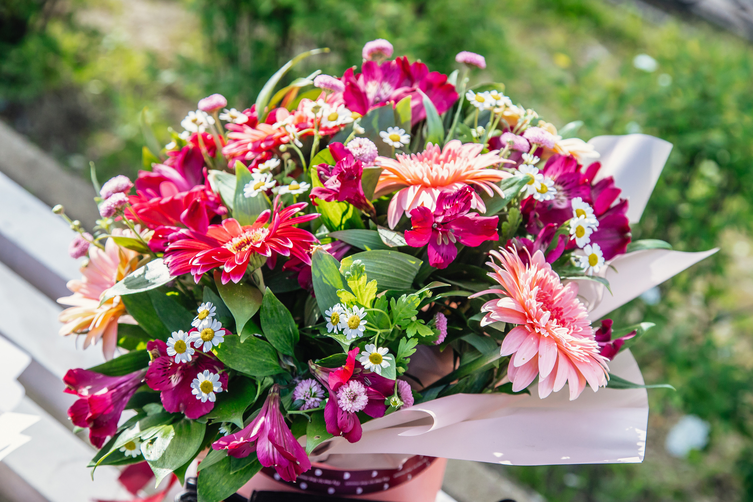 Счастье — на двоих! Роспись в ЗАГСе. Фотограф Сочи, Адлер, Красная Поляна — Вероника Радченко