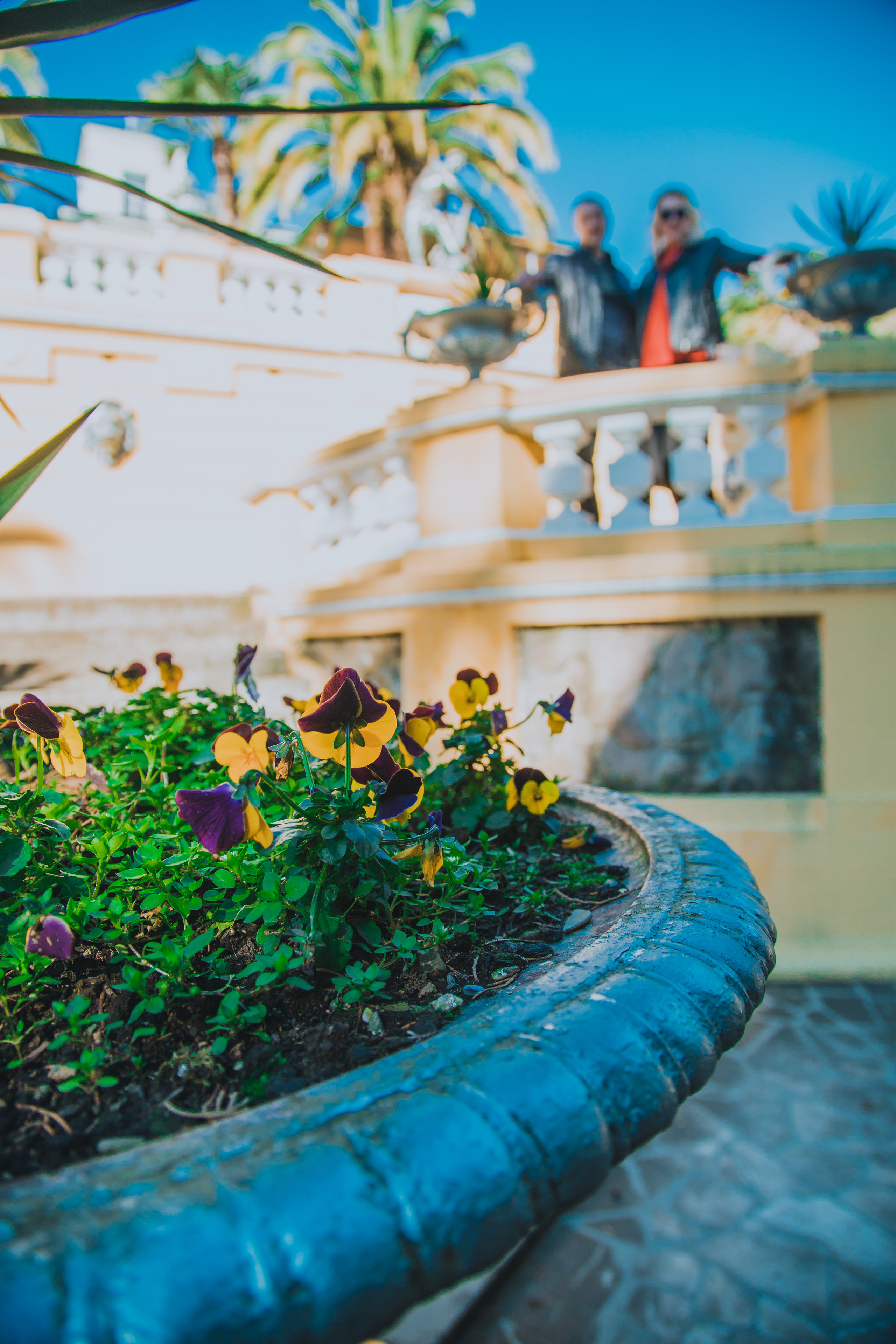 Весенний Дендрарий. Прогулка Светланы и Дмитрия. Фотограф Сочи, Адлер, Красная Поляна — Вероника Радченко