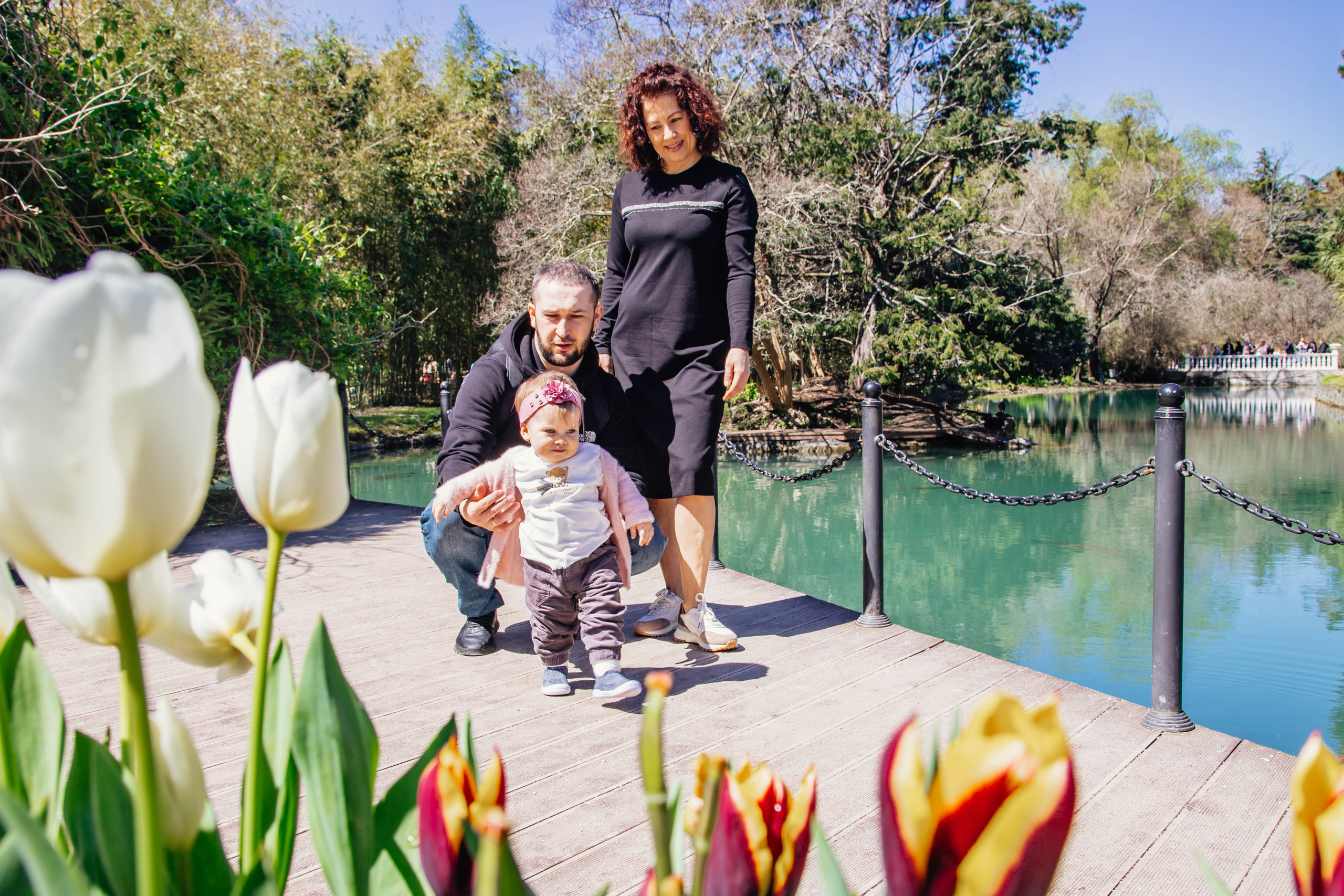 Апрельская прогулка в парке «Южные Культуры». Фотограф Сочи, Адлер, Красная Поляна — Вероника Радченко
