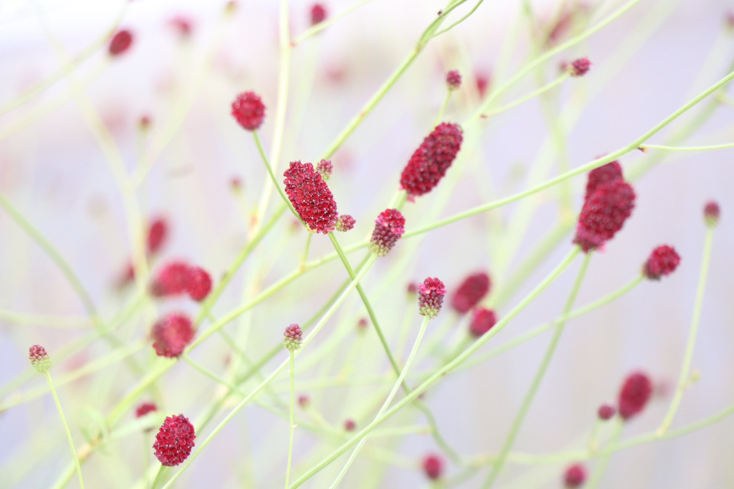 метафизика в фотографии