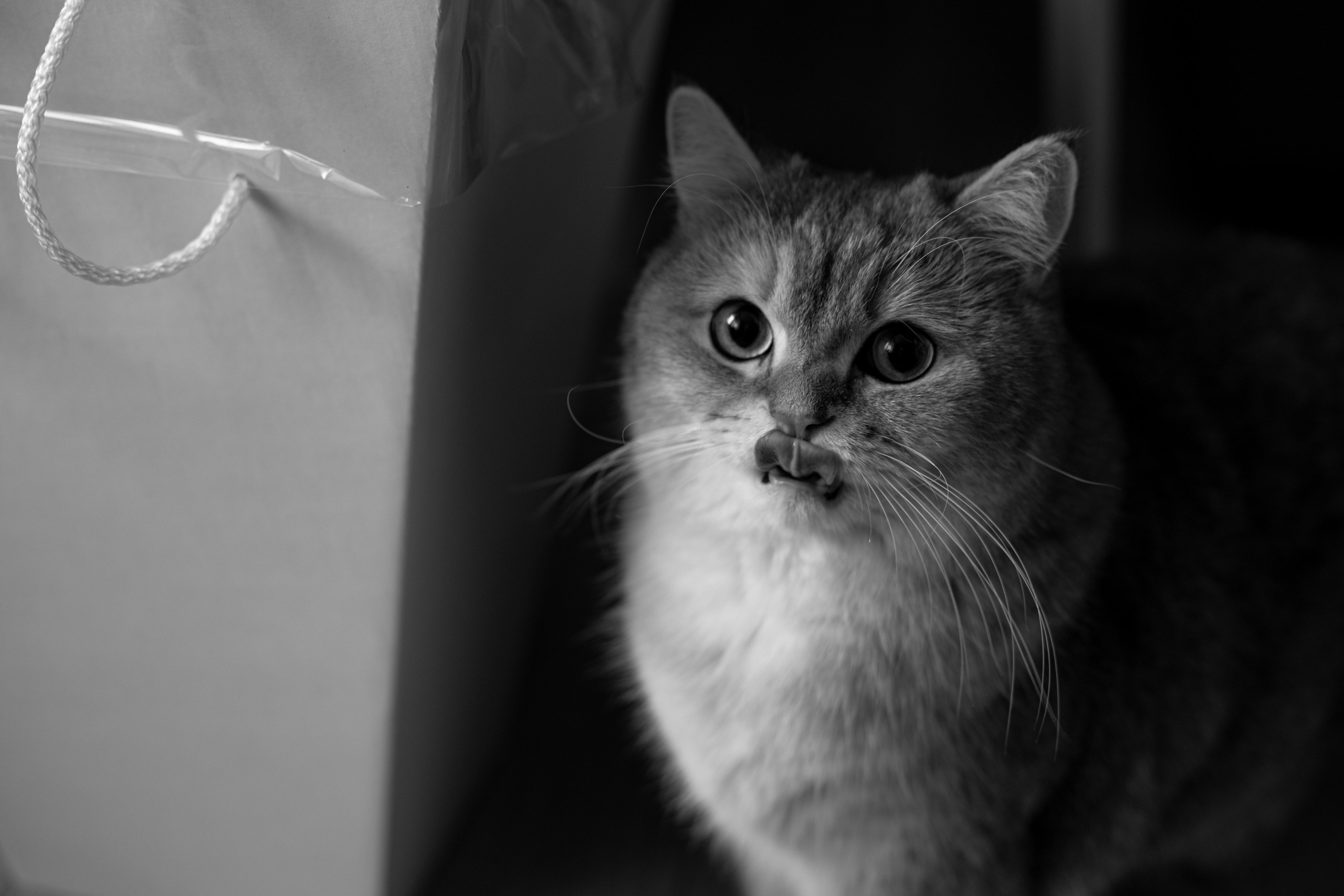 Свадебный фотограф москва, свадебная серия, фотосерия свадьба, свадьба пример, фотограф свадебный, фотограф москва, фотограф гладков дмитрий, свадебная съёмка, свадебная фотосессия, фотосессия свадьба, свадьба москва, стоимость свадебного фотографа, свадебное фото, фотограф свадьба москва, свадебный фотограф цена, фотограф одинцово, свадебная фотосессия