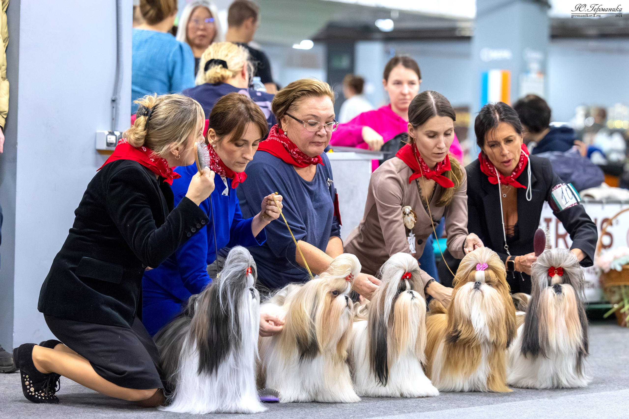 Сфера 17.03.2024. Фотограф-анималист Юлия Германика
