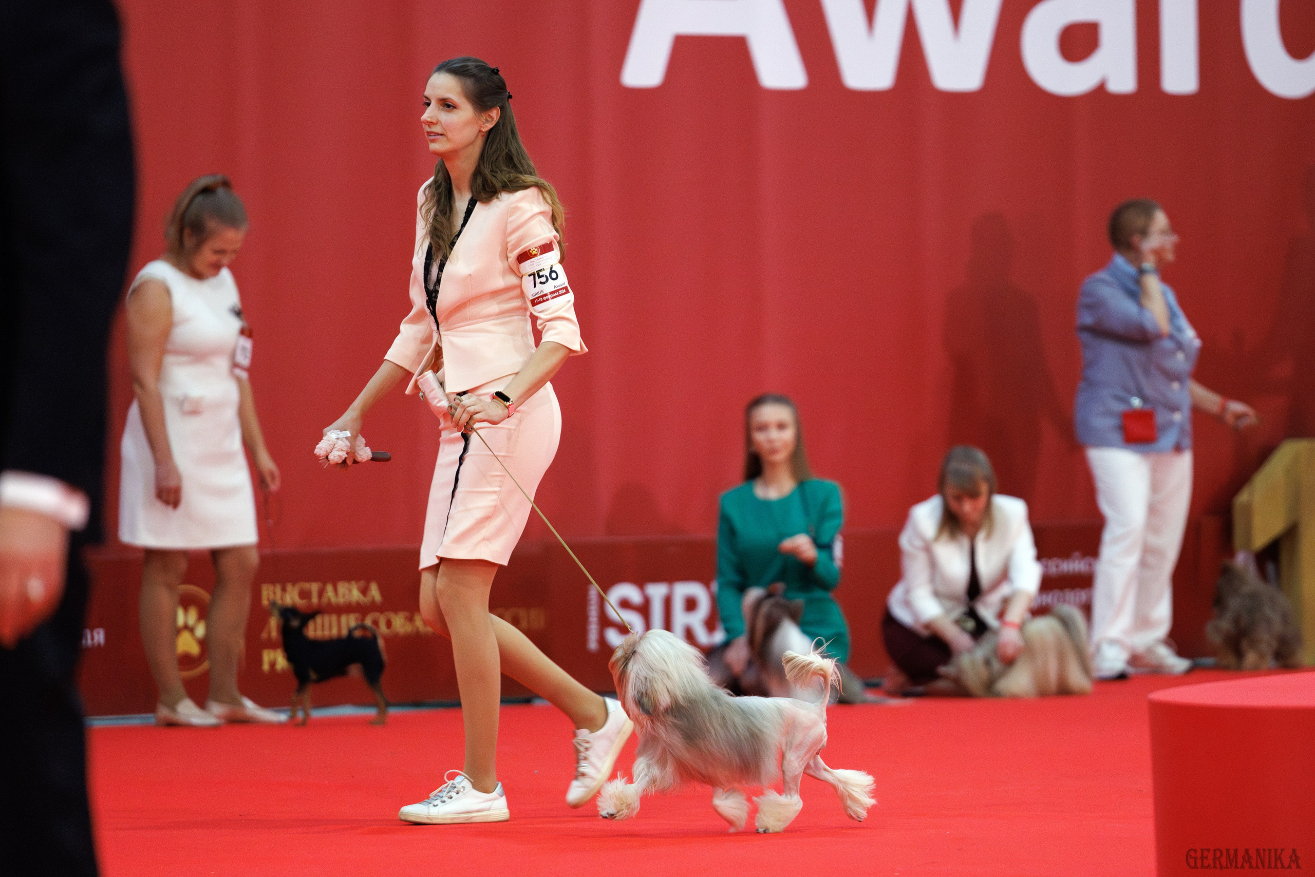 Лучшие Собаки России 17-18.02.2024. Фотограф-анималист Юлия Германика