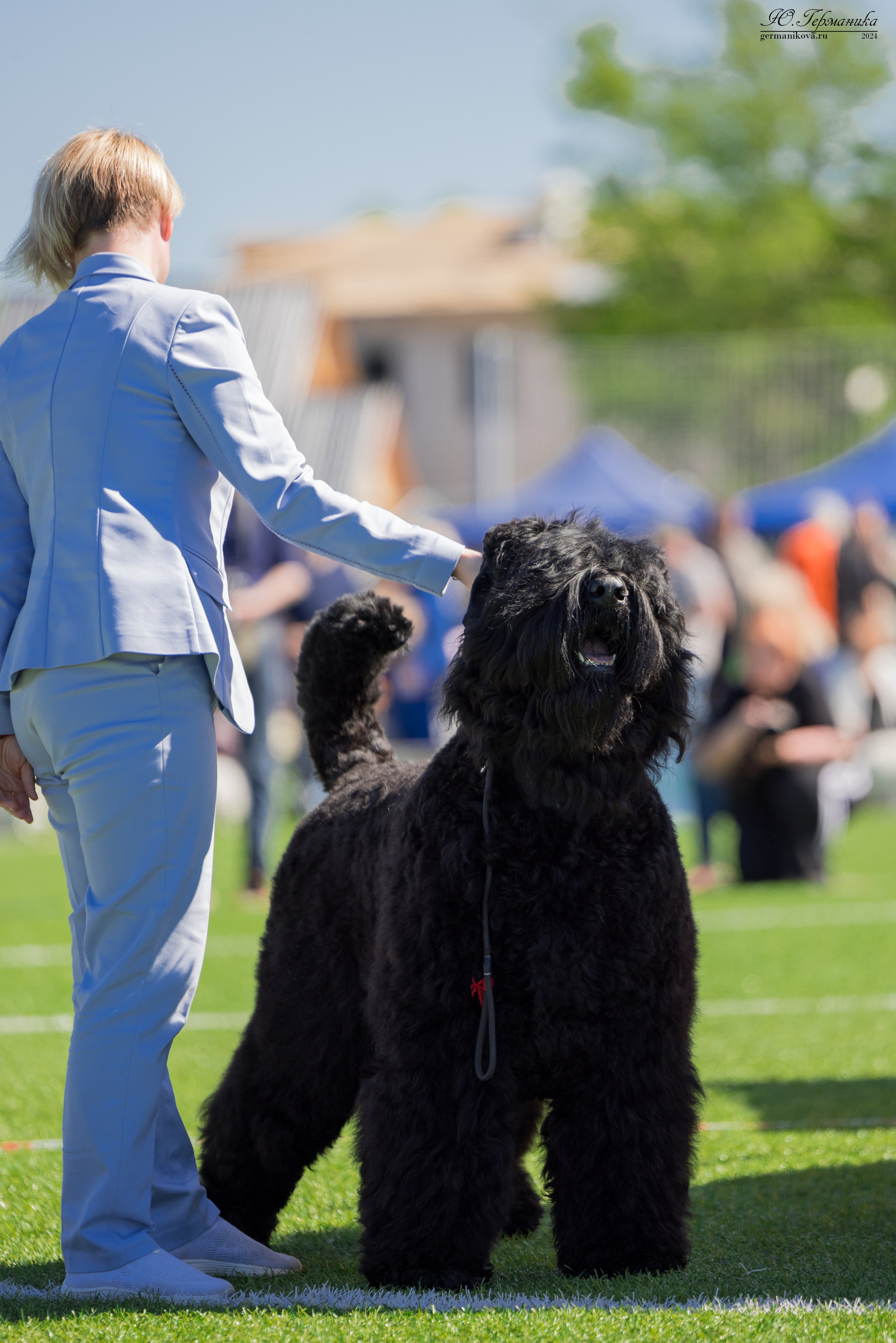 Суздаль 18-19.05.2024. Фотограф-анималист Юлия Германика