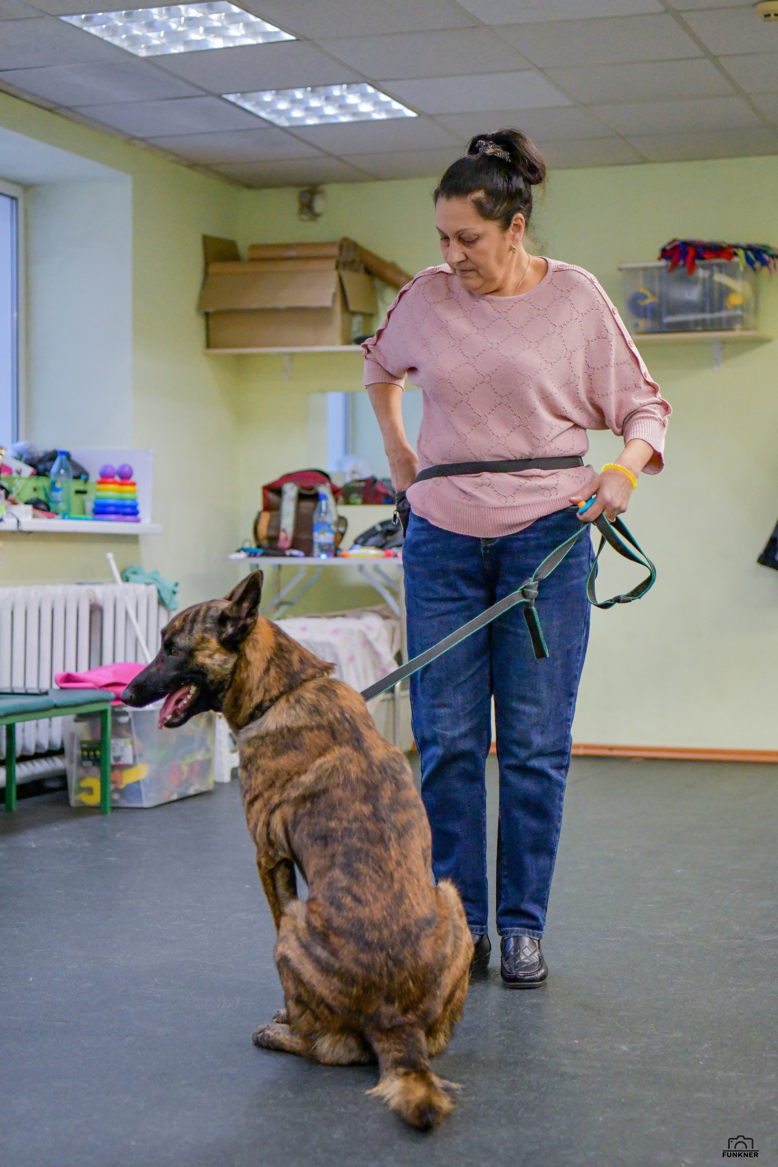 Кинологический клуб «Бодрый хвост». Свой взгляд через объектив
