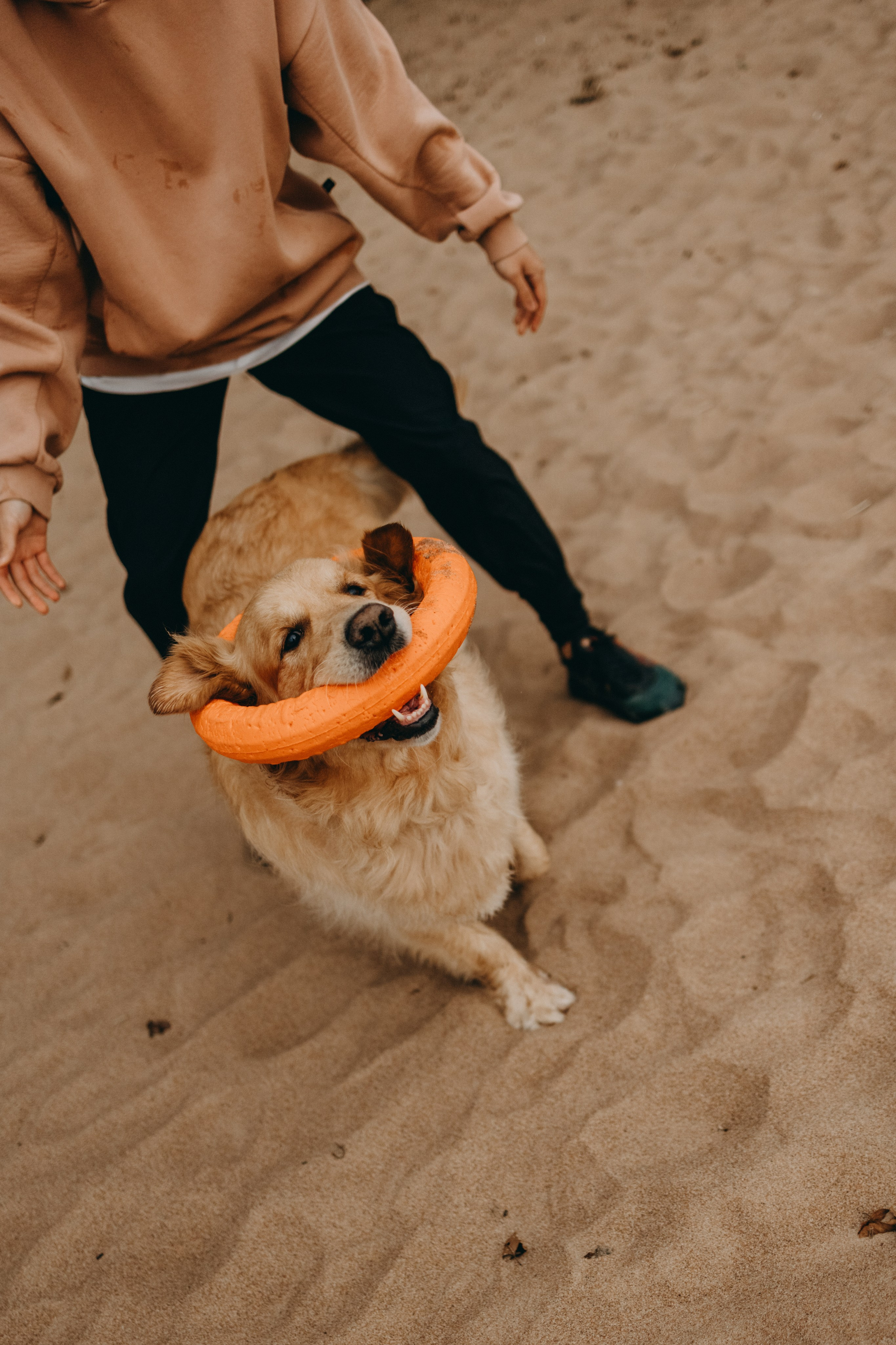 Фоси и его семьи. Фотограф — Анималист | Санкт-Петербург