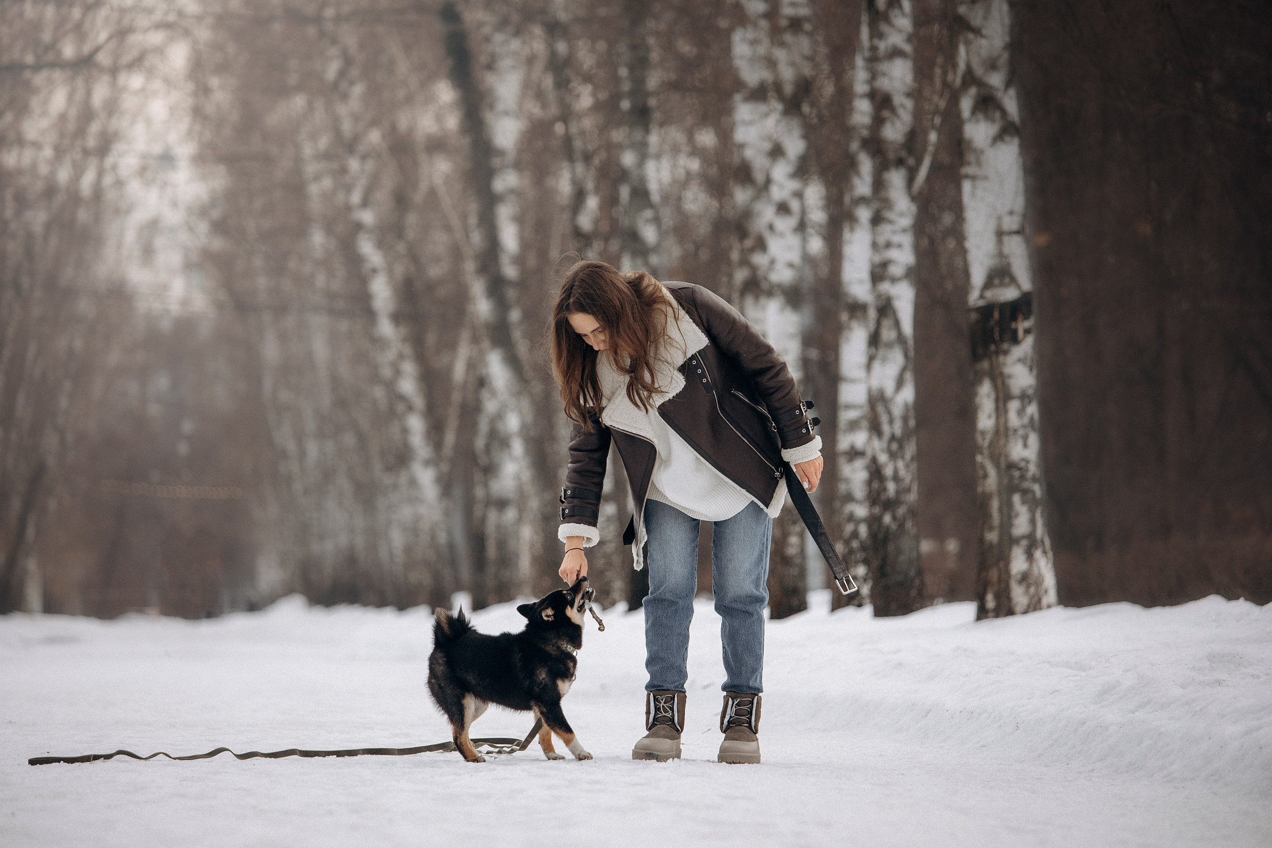 Дарья и Мики. Фотограф — Анималист | Санкт-Петербург
