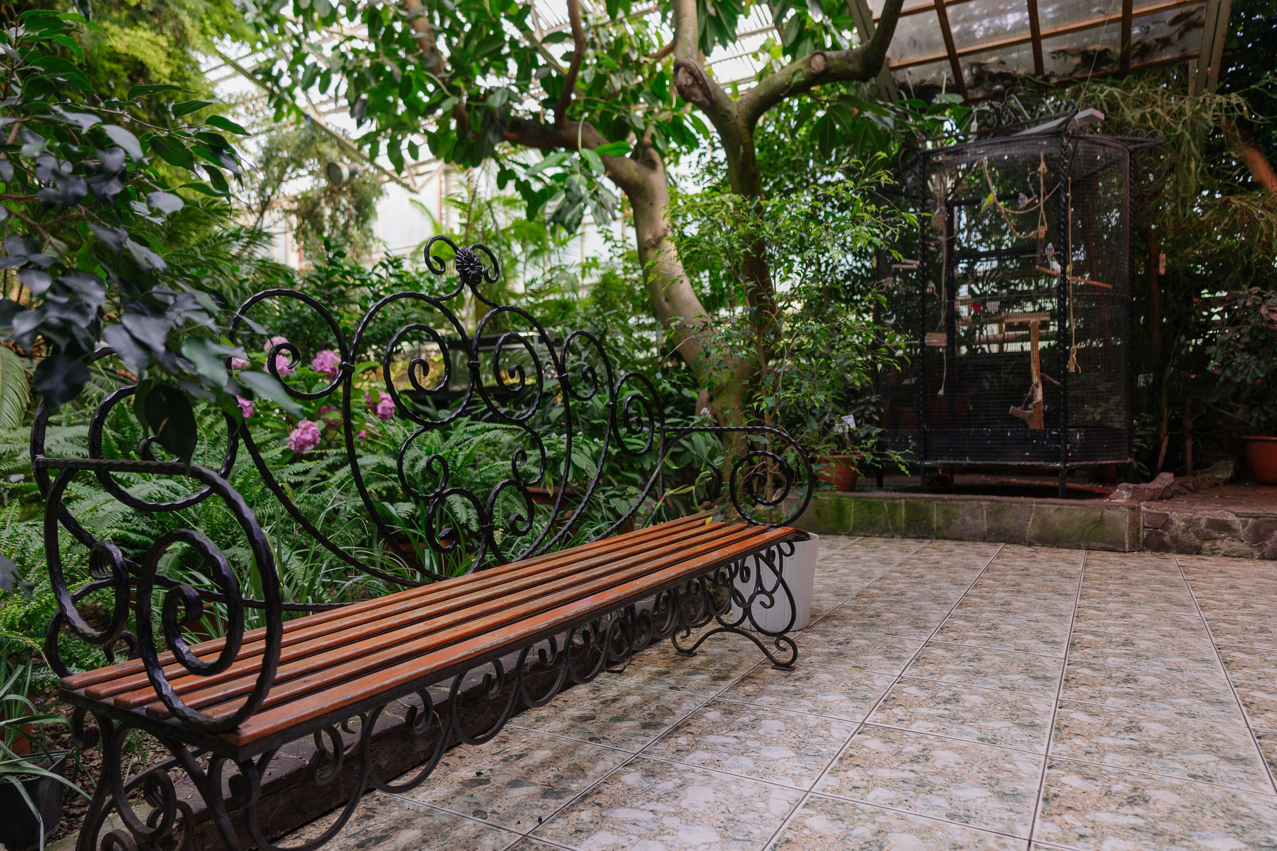 Ботанический сад Уфа