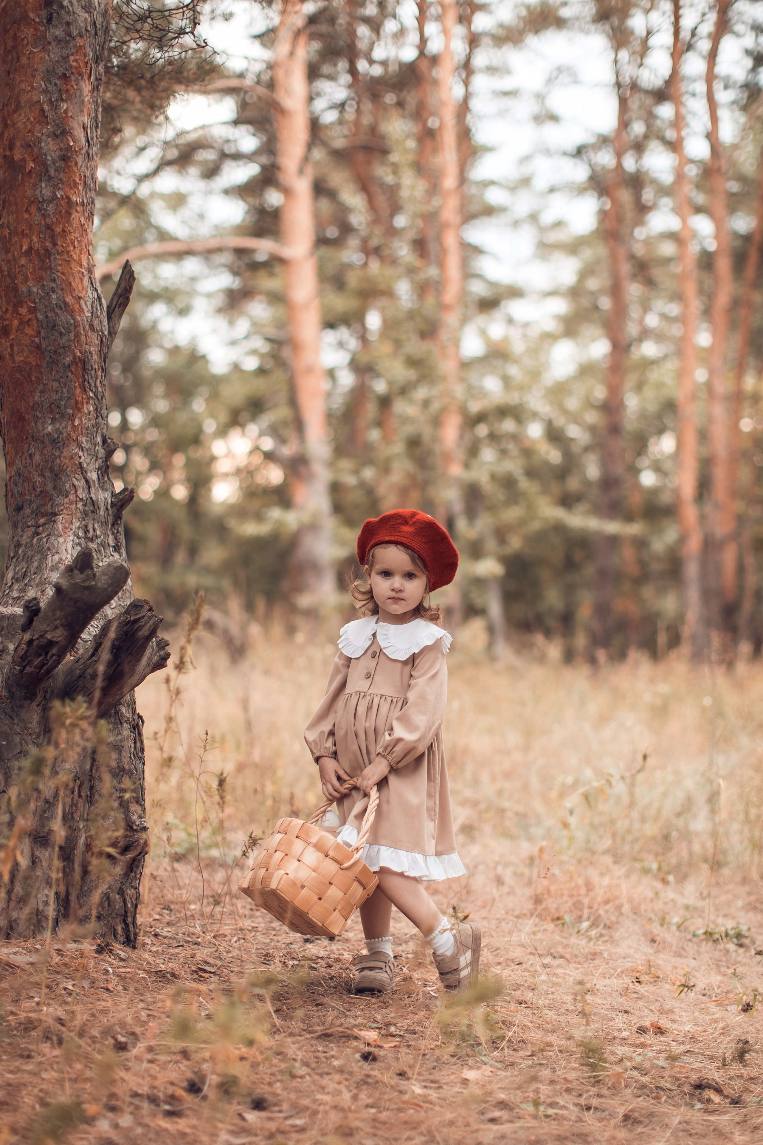 Прогулка в Широком. Главная