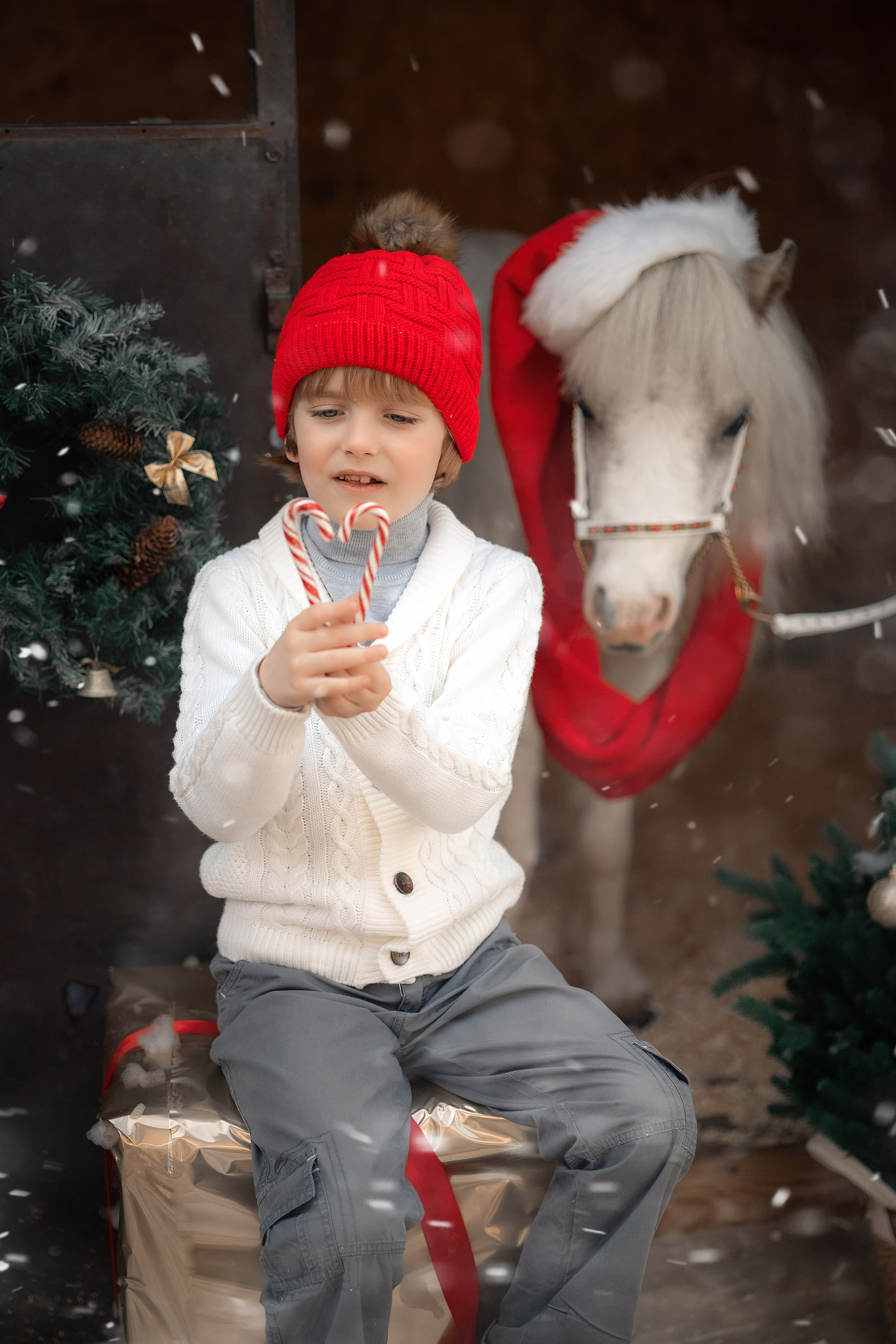Новогодняя сказка. Художественный фотограф Анапа Александра Долбикова