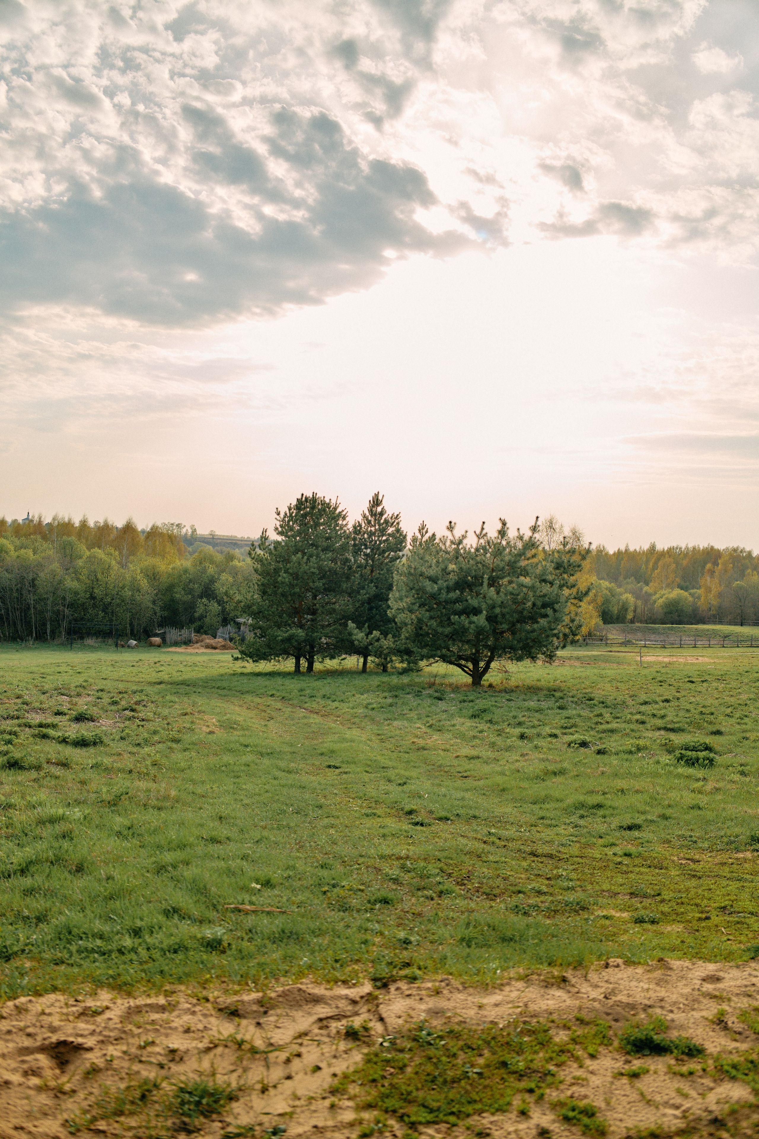 Бутик-отель Поле летом. Профессиональный Фотограф во Владимире, в Москве и в Суздале — Полина Романычева