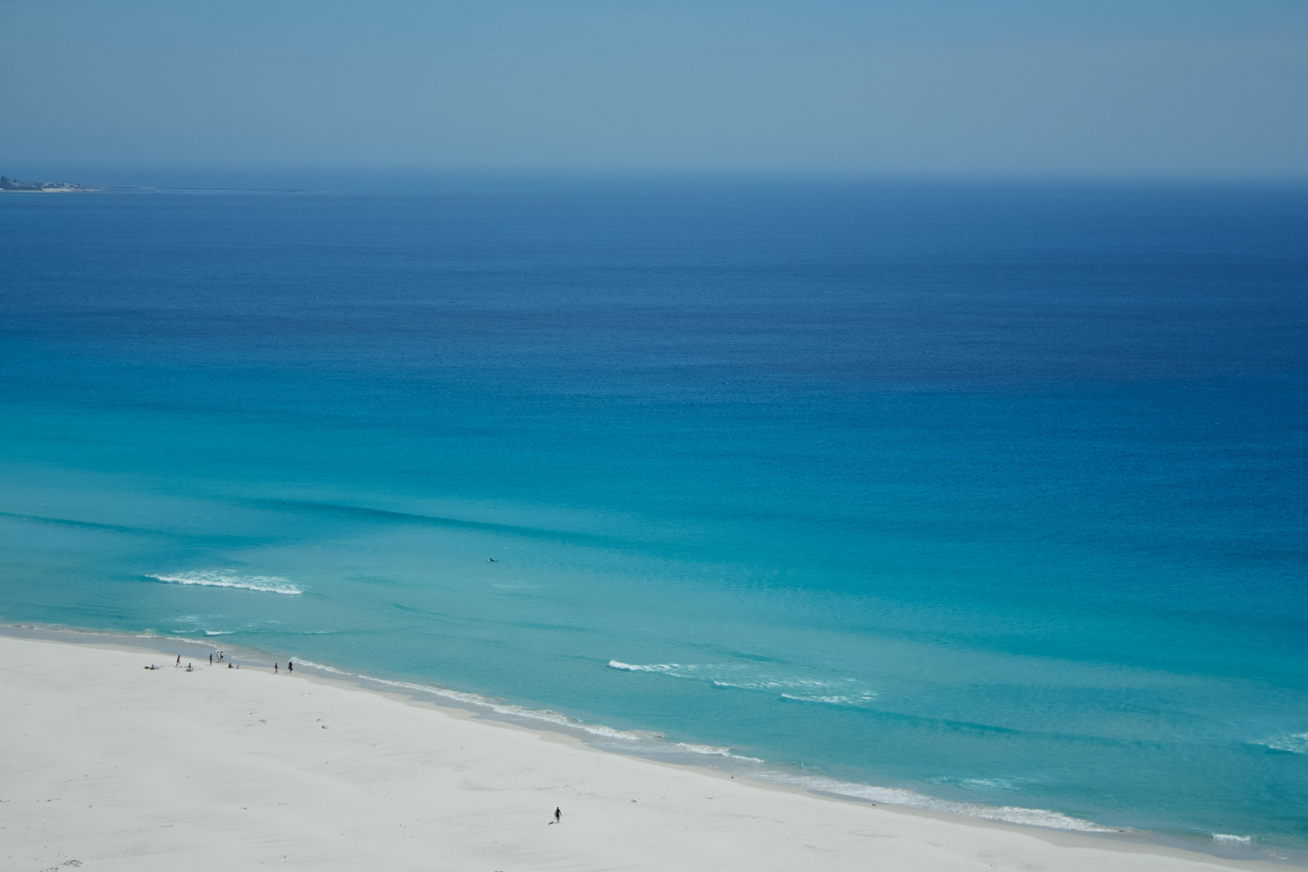 ЮАР. Профессиональный Фотограф во Владимире, в Москве и в Суздале — Полина Романычева