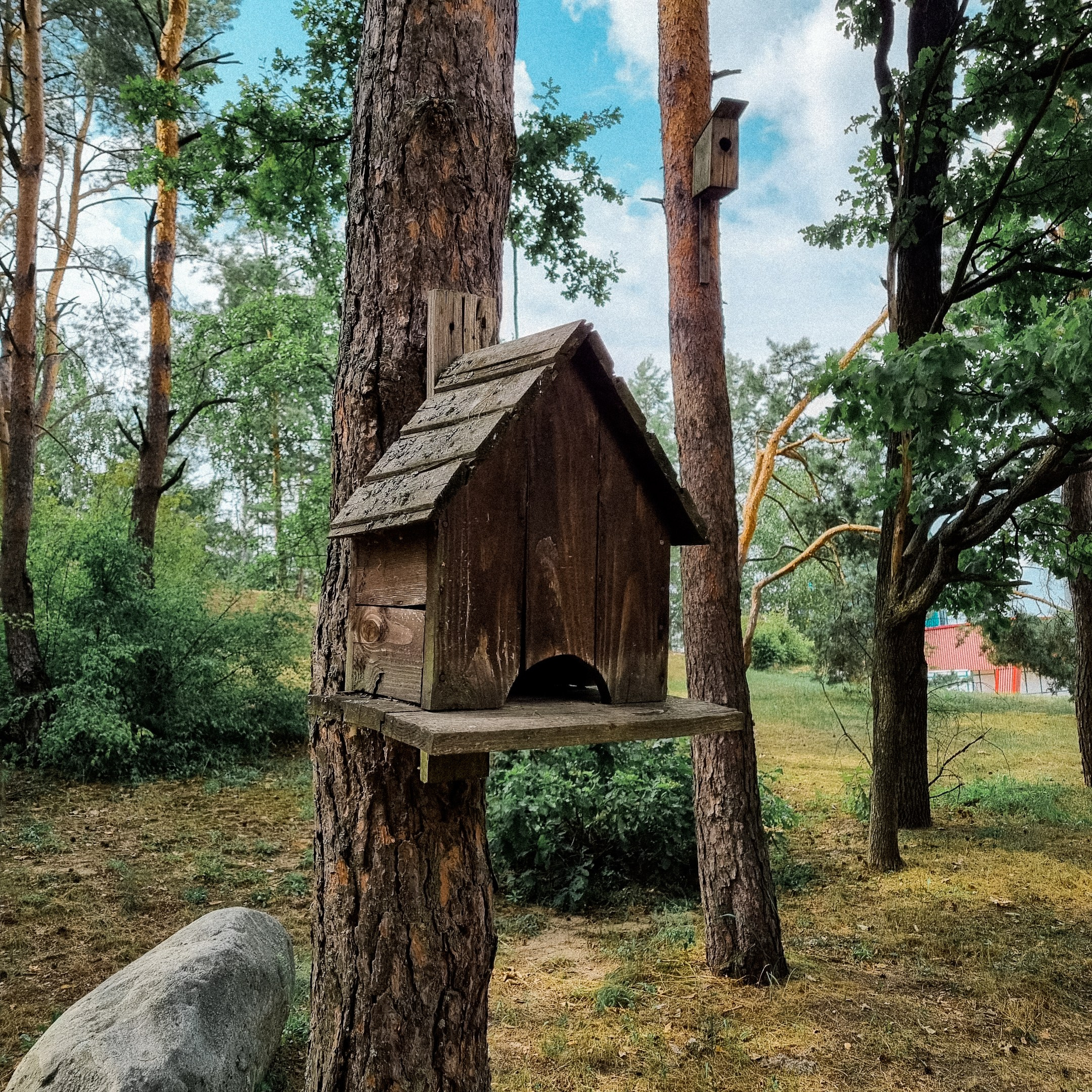 Дачные. Фотограф Алиса Аспер