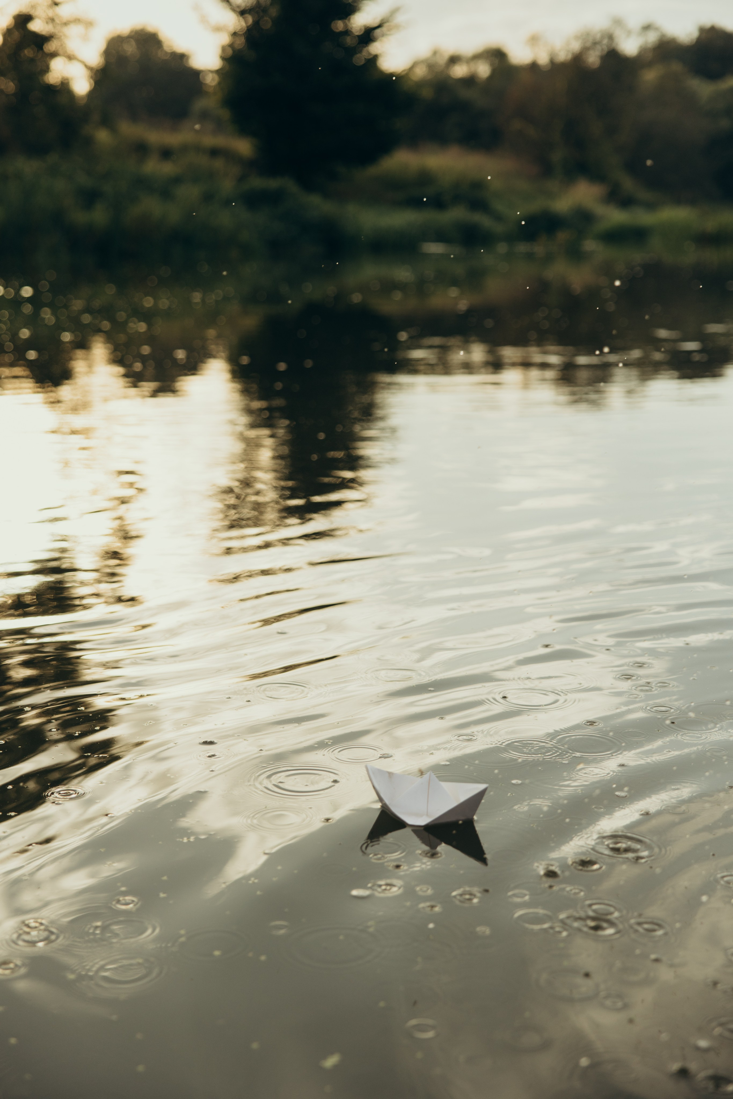 Теплый сентябрьский день. Фотограф Сотникова Вероника