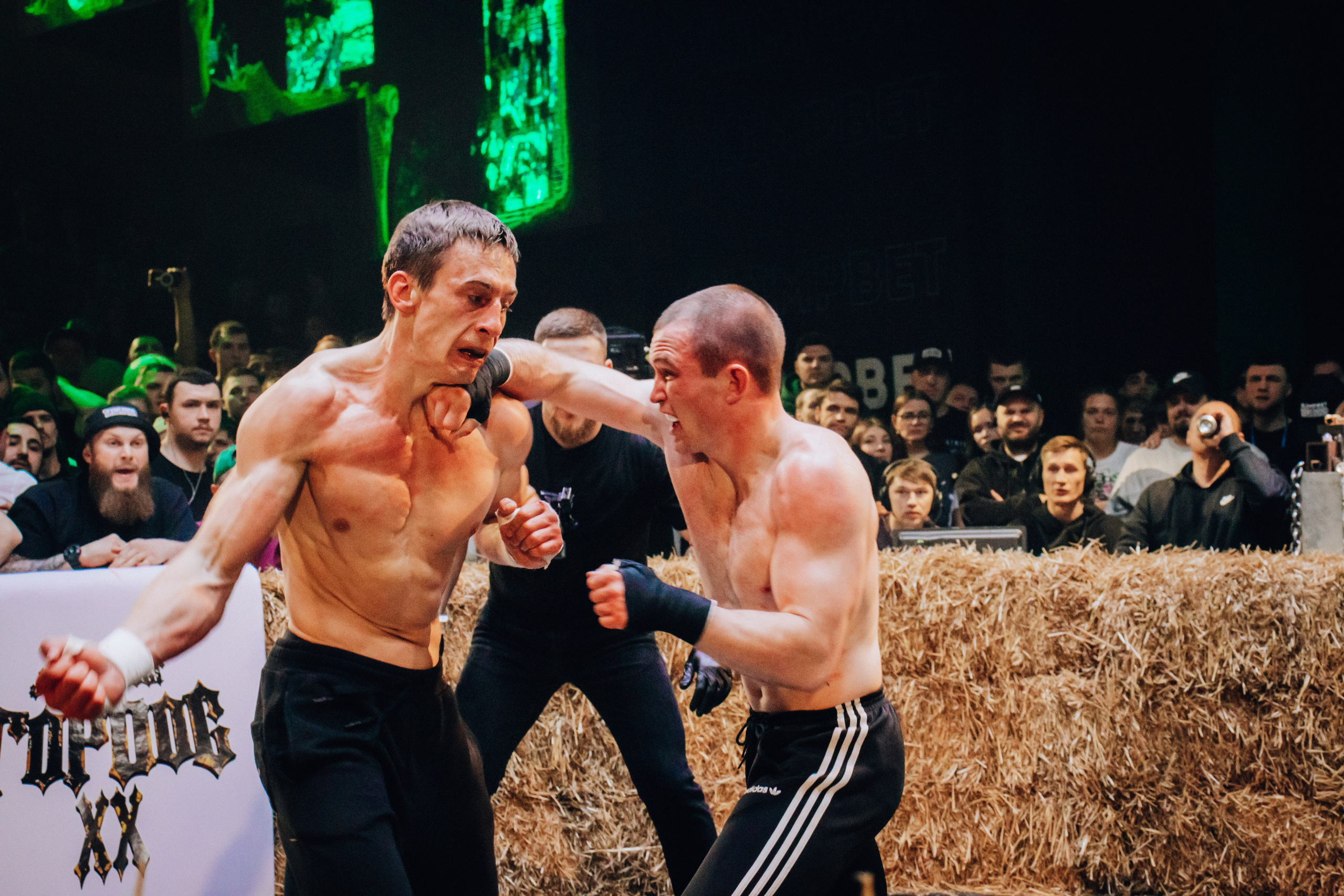 Кулачные бои TopDog. Анастасия Тен