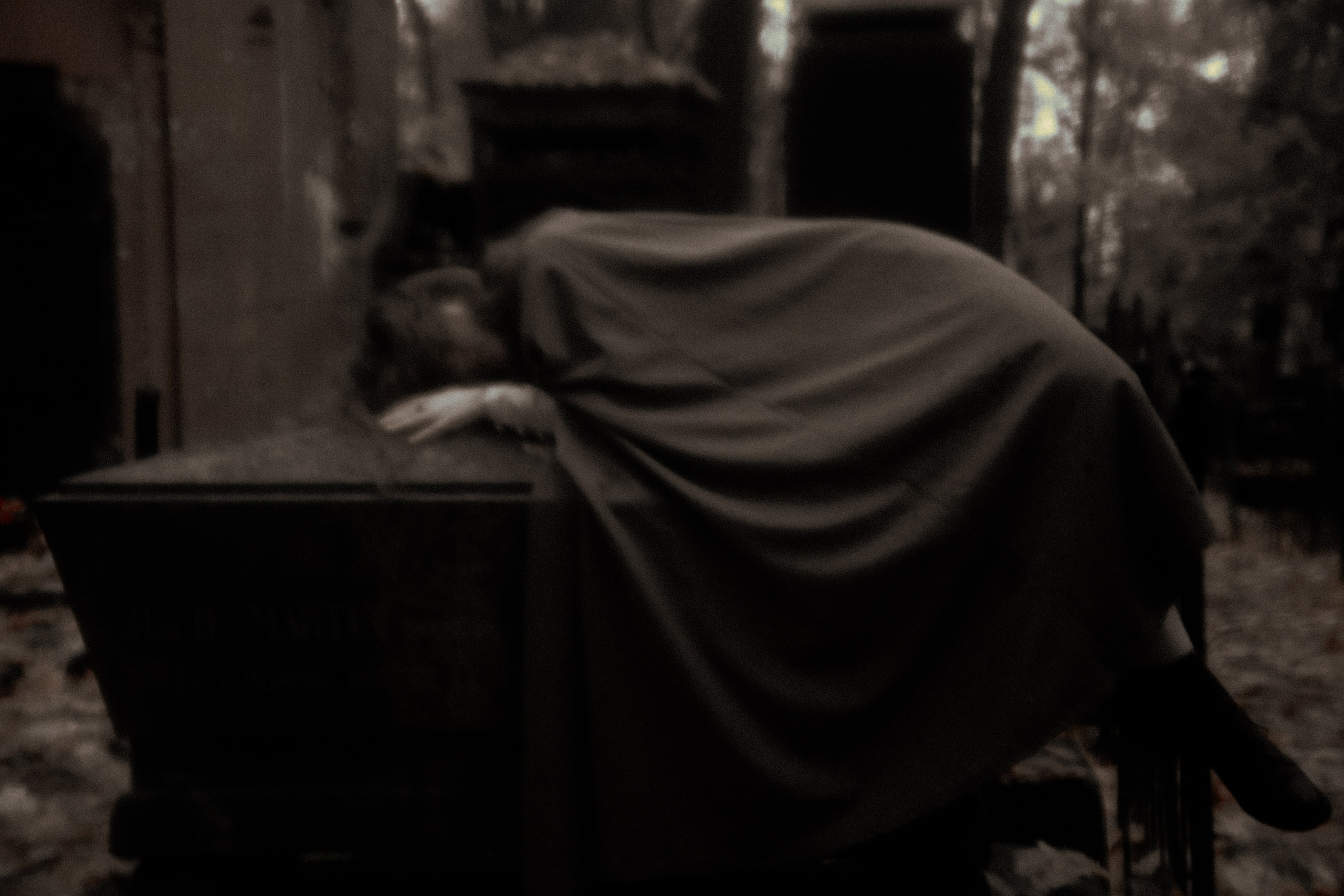 Паулина и Штейн. Ель Татьяна Григ ~ винтажный фотограф ~ Москва