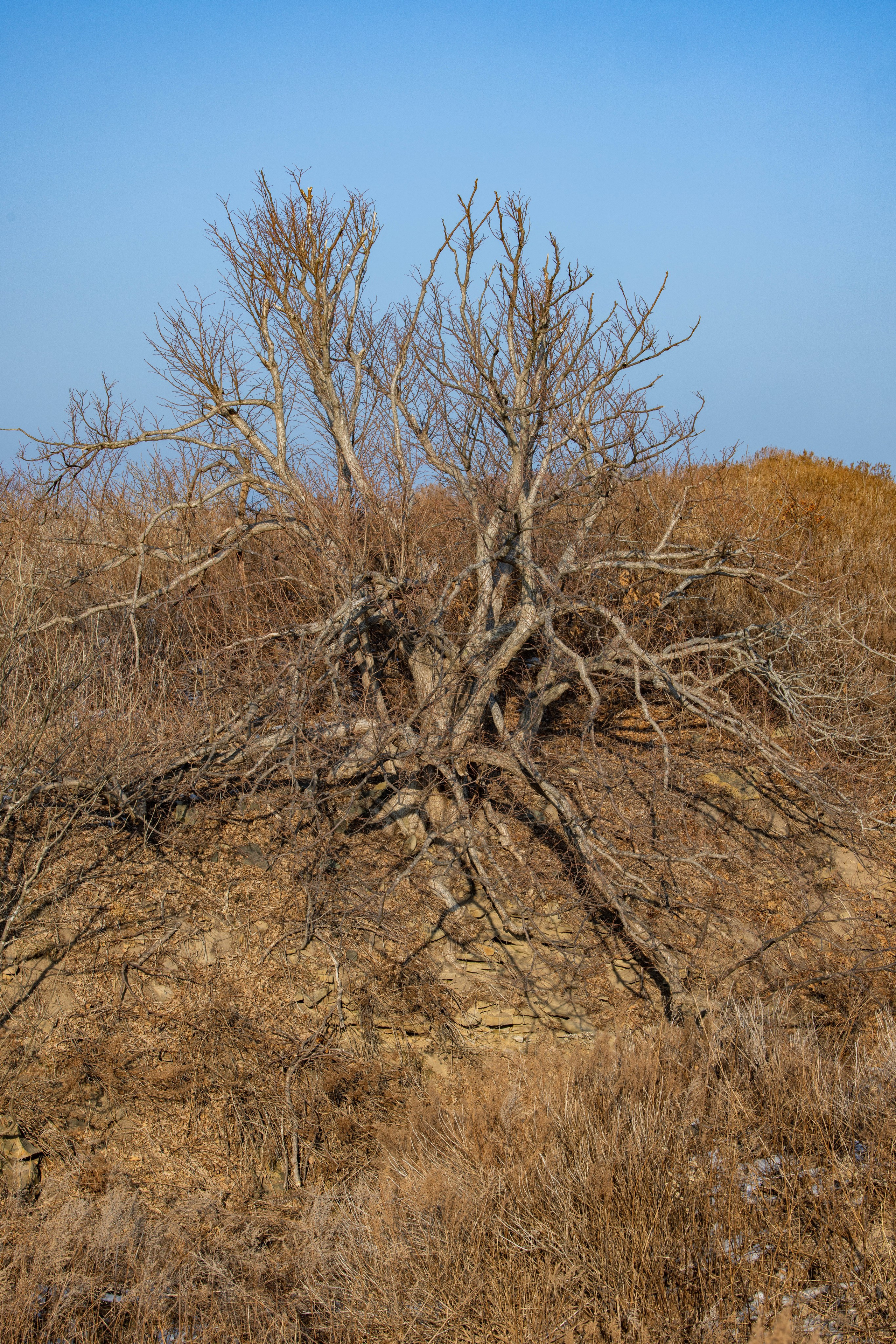 Мыс Вятлина. Турист оптимист