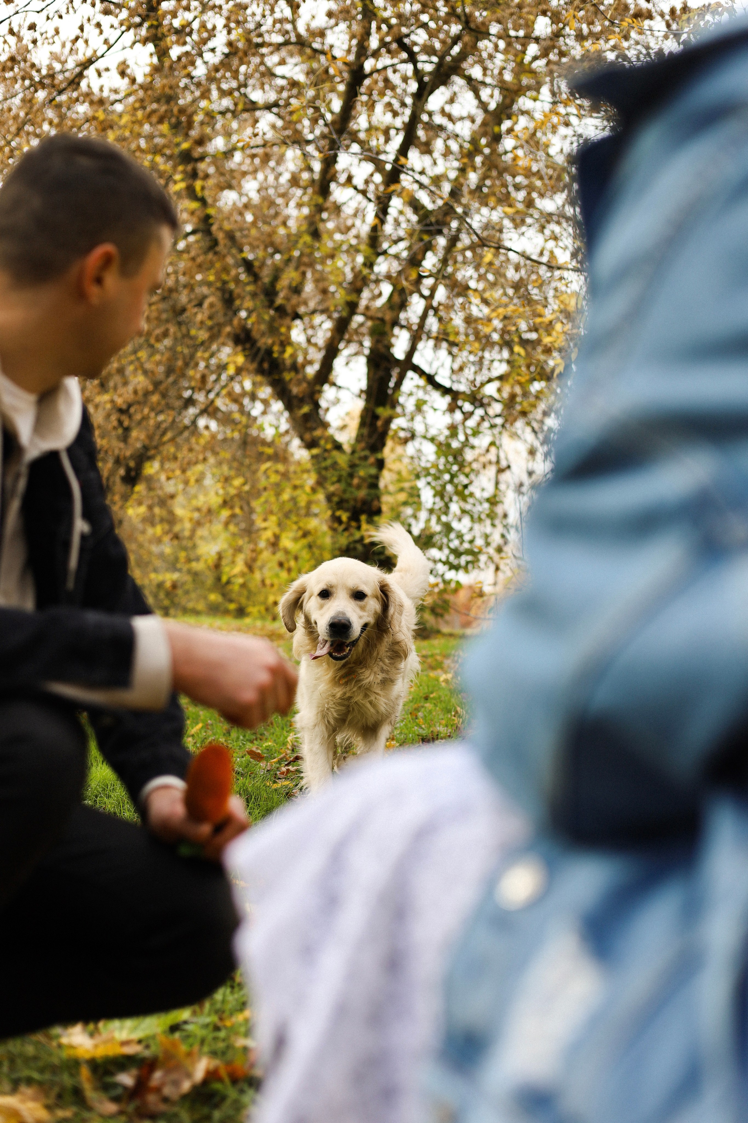 Фрэнк, Даша и Максим. Фотограф-анималист Ксения Шевцова|Москва
