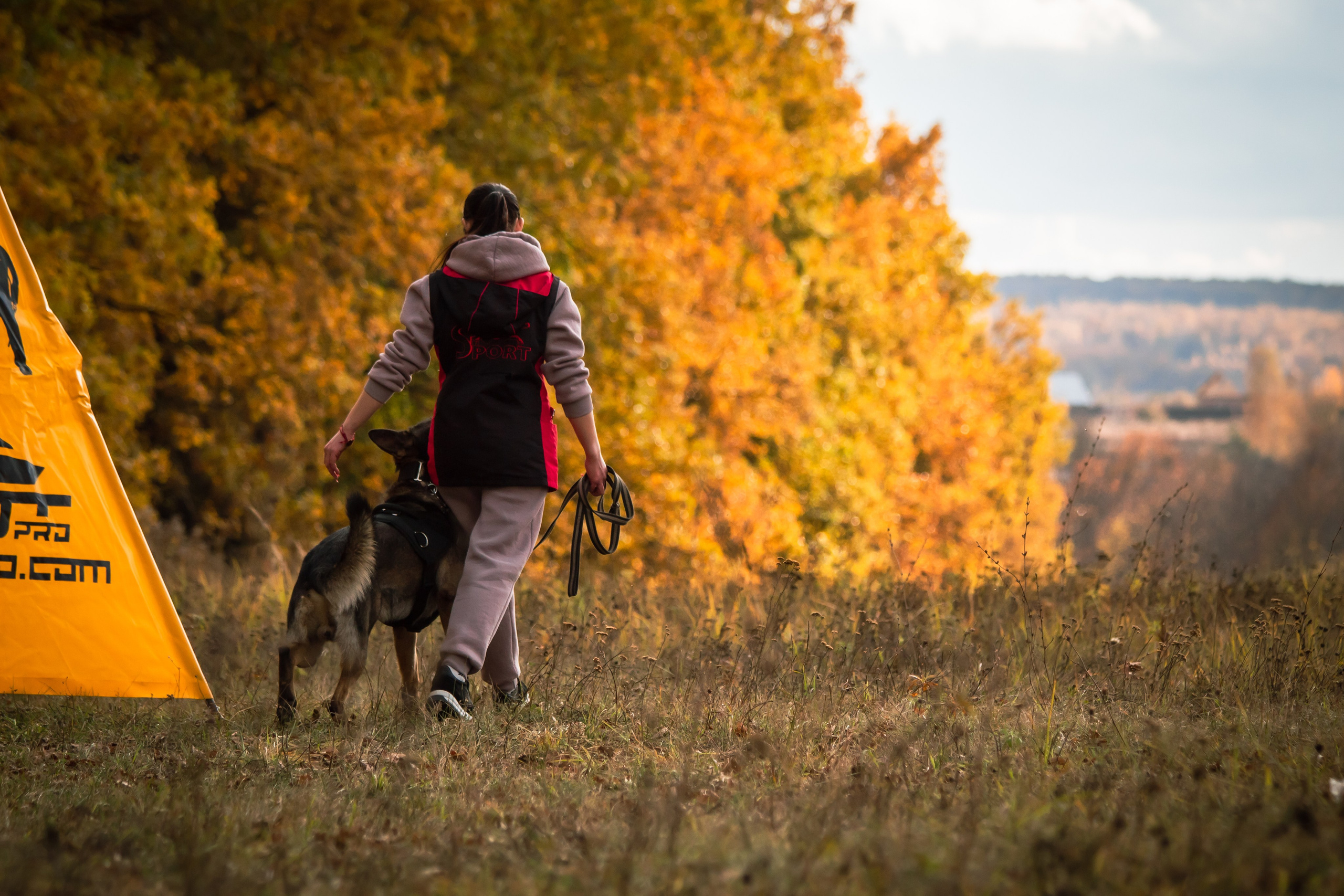 Тренинг защитного раздела. Фотограф анималист — Тула, Москва