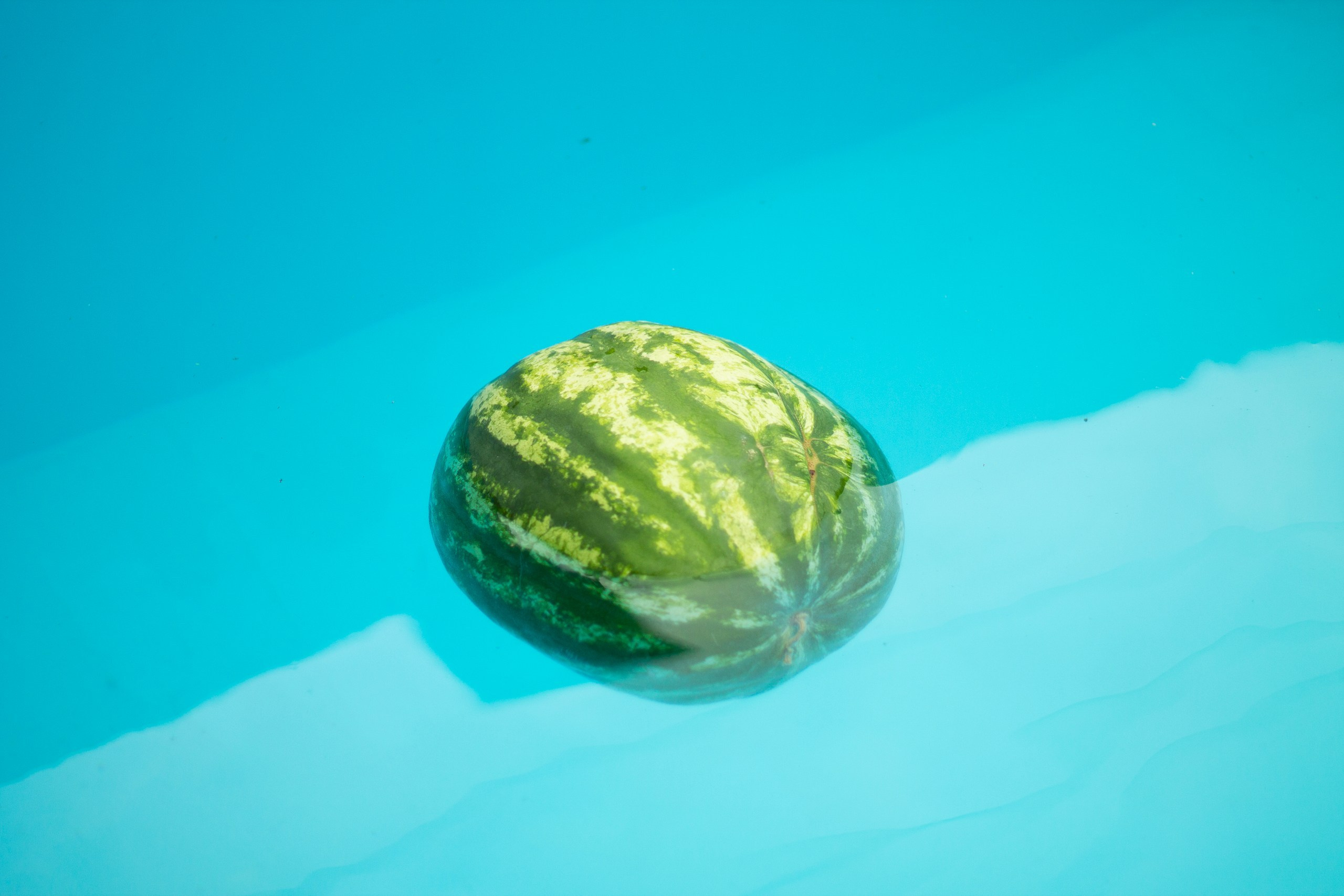 Летом у реки