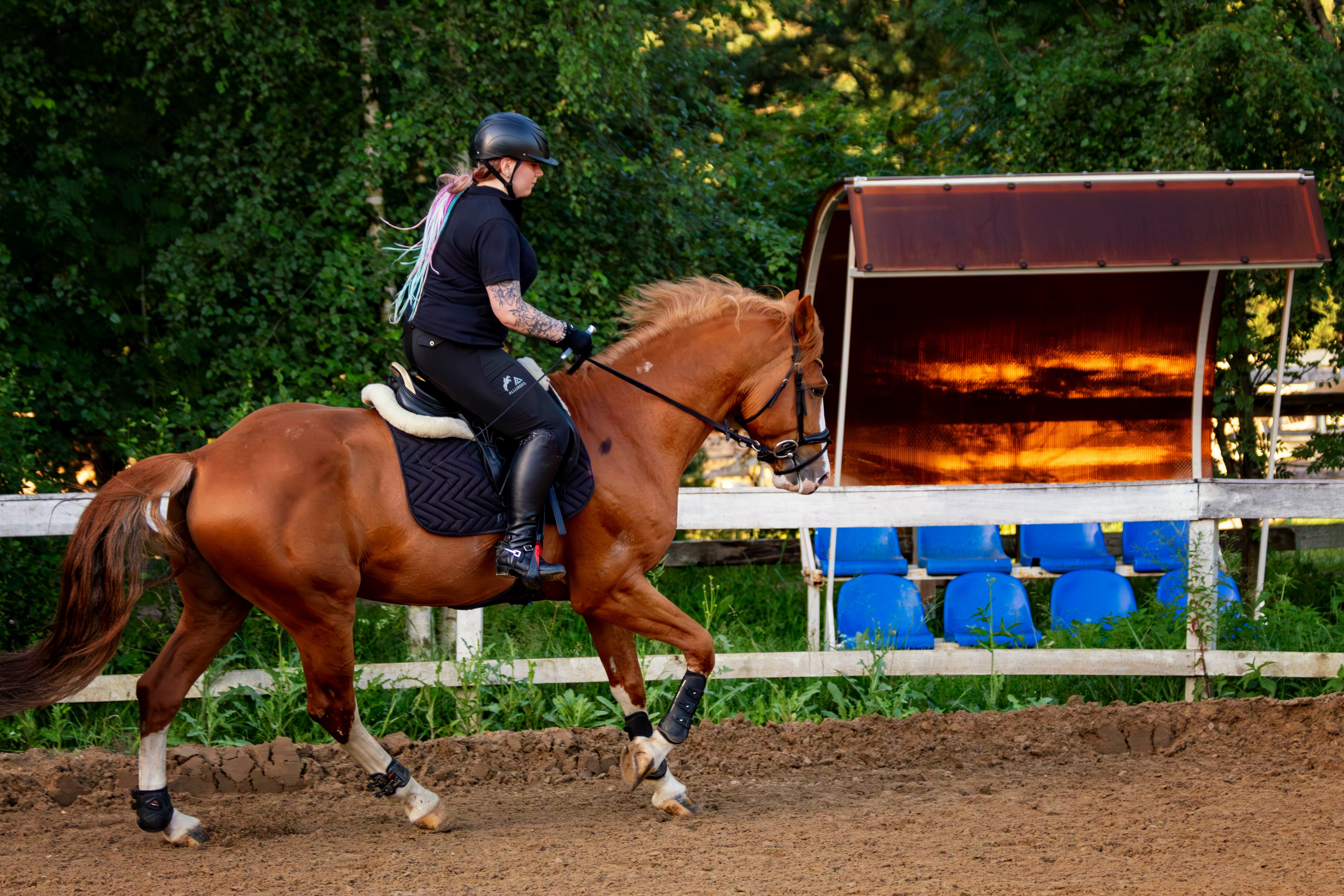 Таисия и Камелот. Фотограф анималист — Тула, Москва