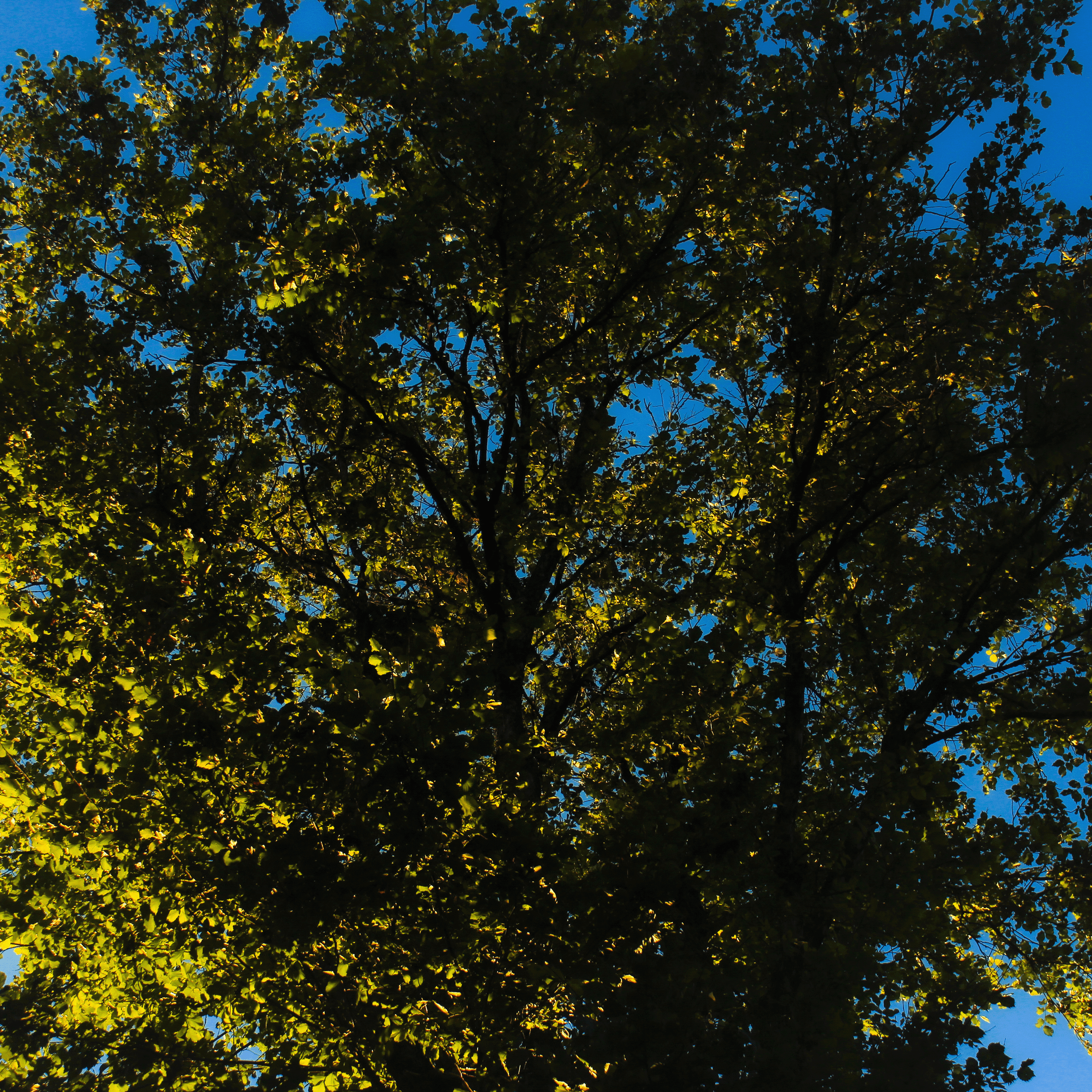 Summertime. Фотограф/дизайнер в Екатеринбурге Хитрый Дмитрий