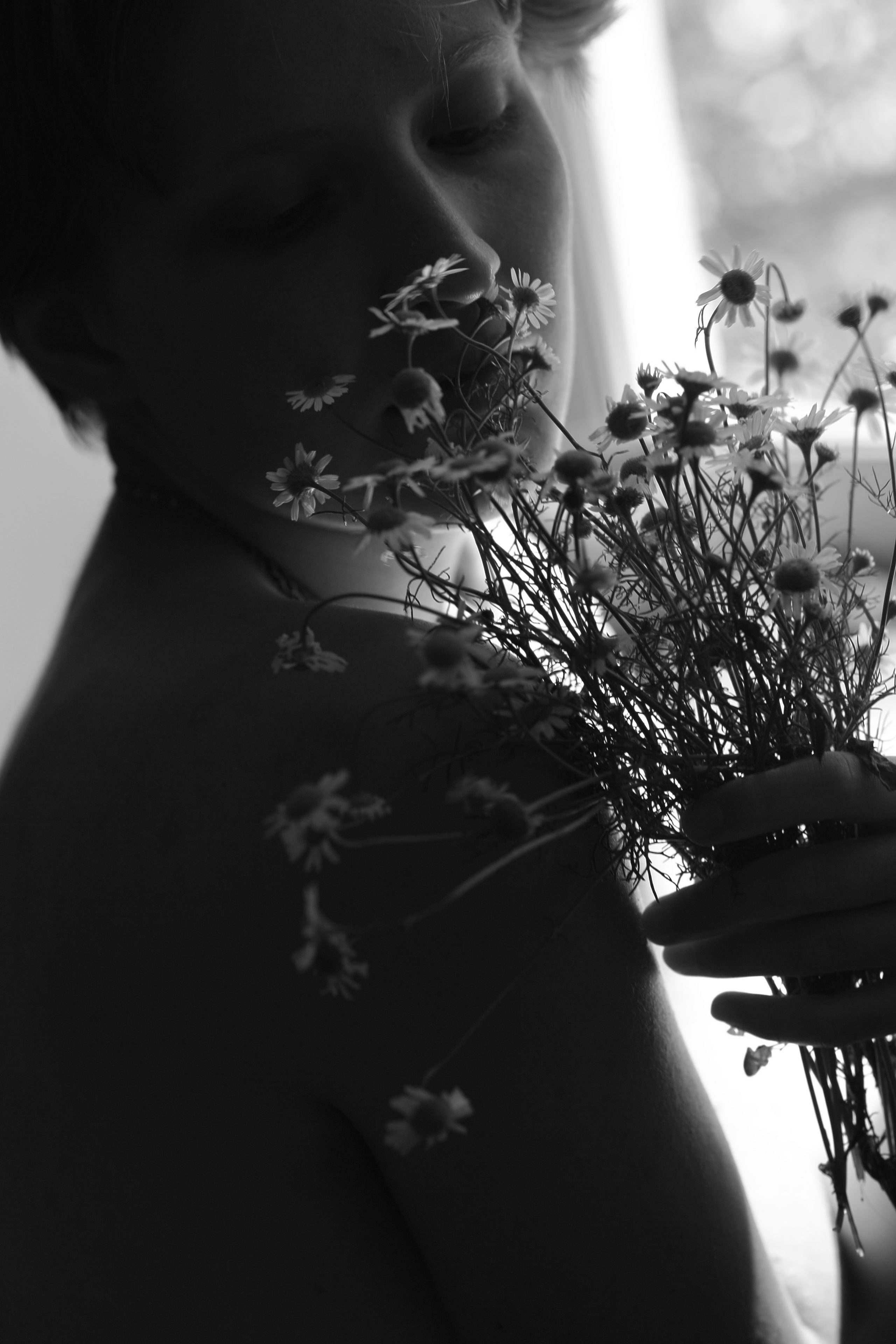 Ромашки. Свадебный и репортажный фотограф в Ярославле и Санкт-Петербурге Роман Микрюков