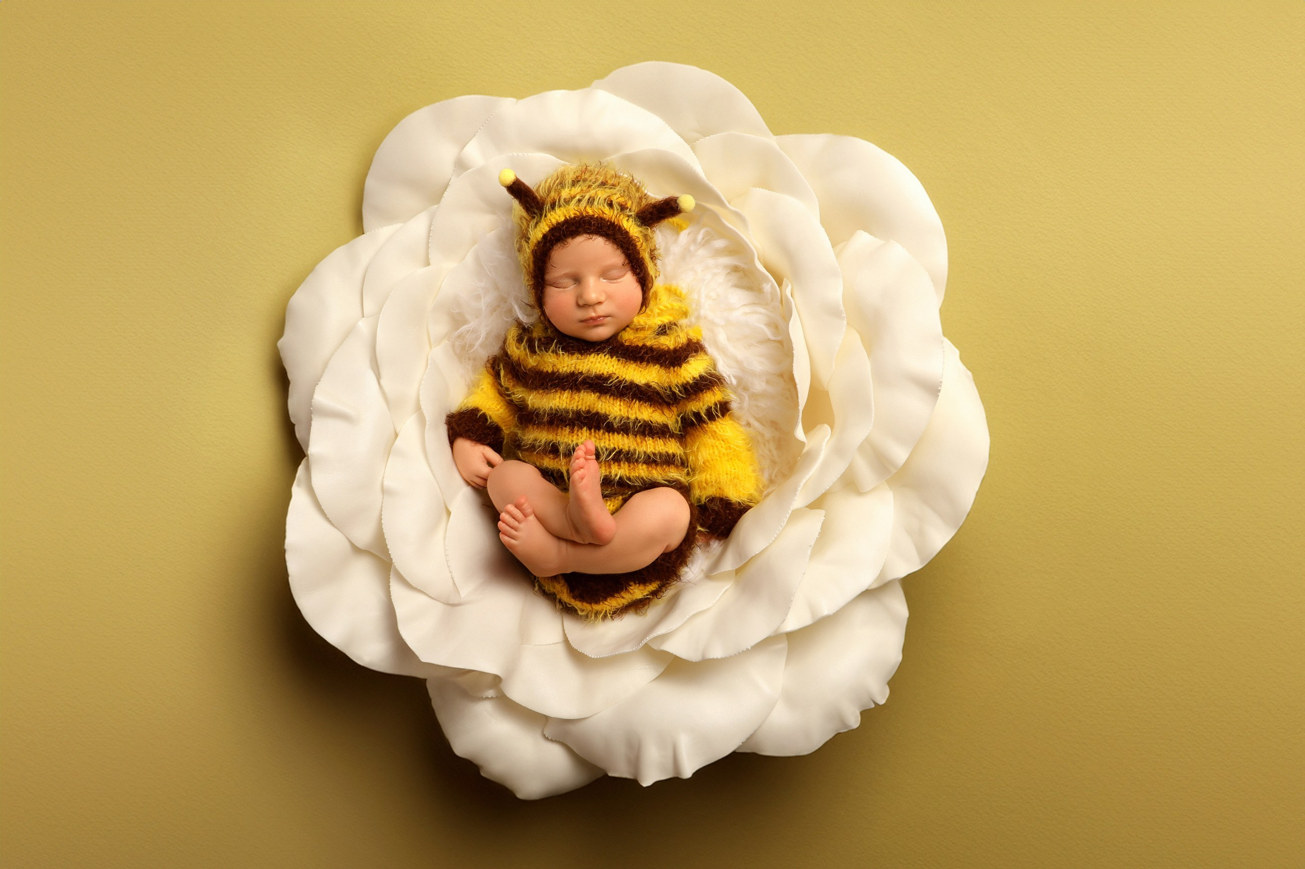 Новорожденные мальчики. Фотограф новорожденных в г. Великий Новгород — Екатерина Новикова