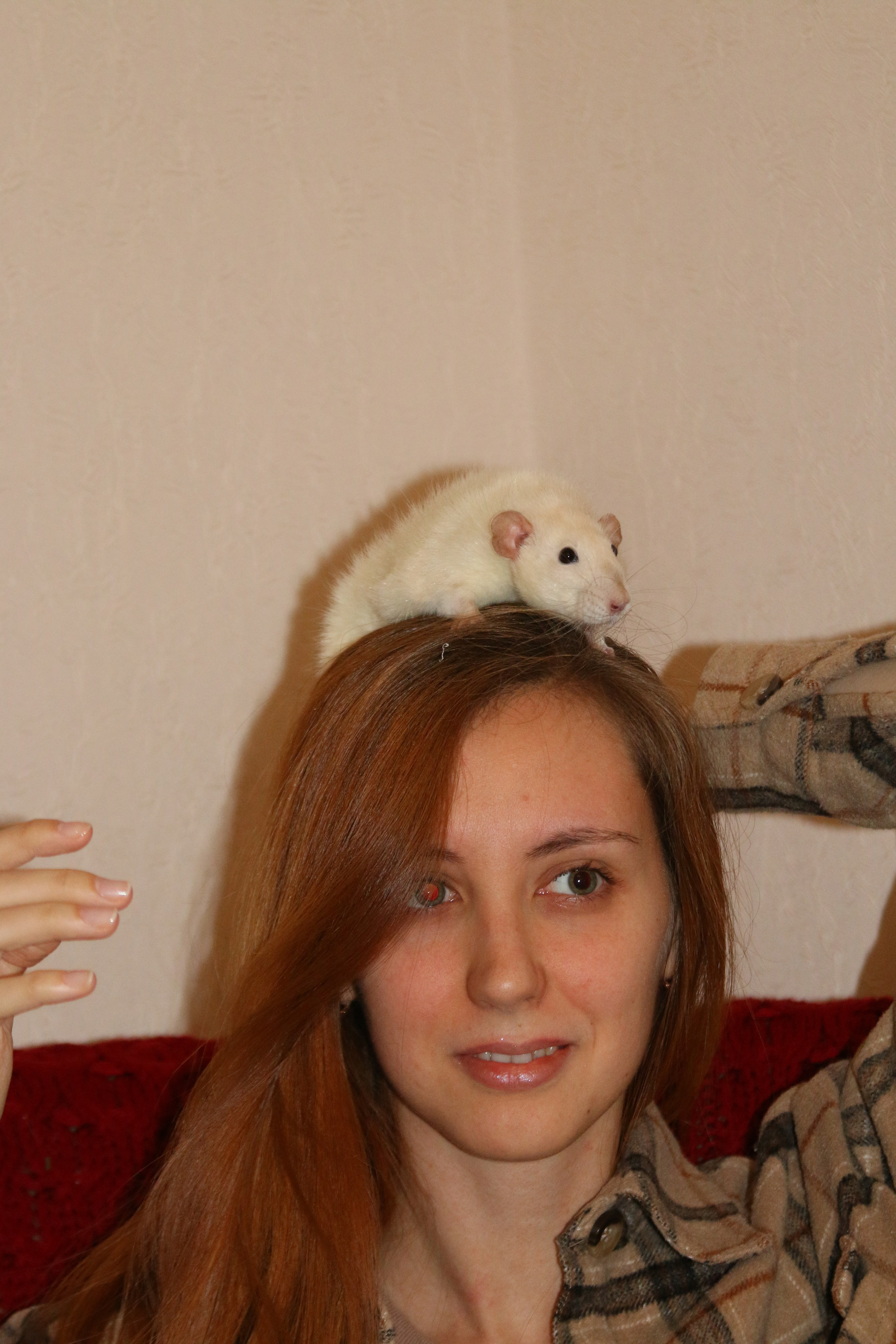 Съемка с питомцем