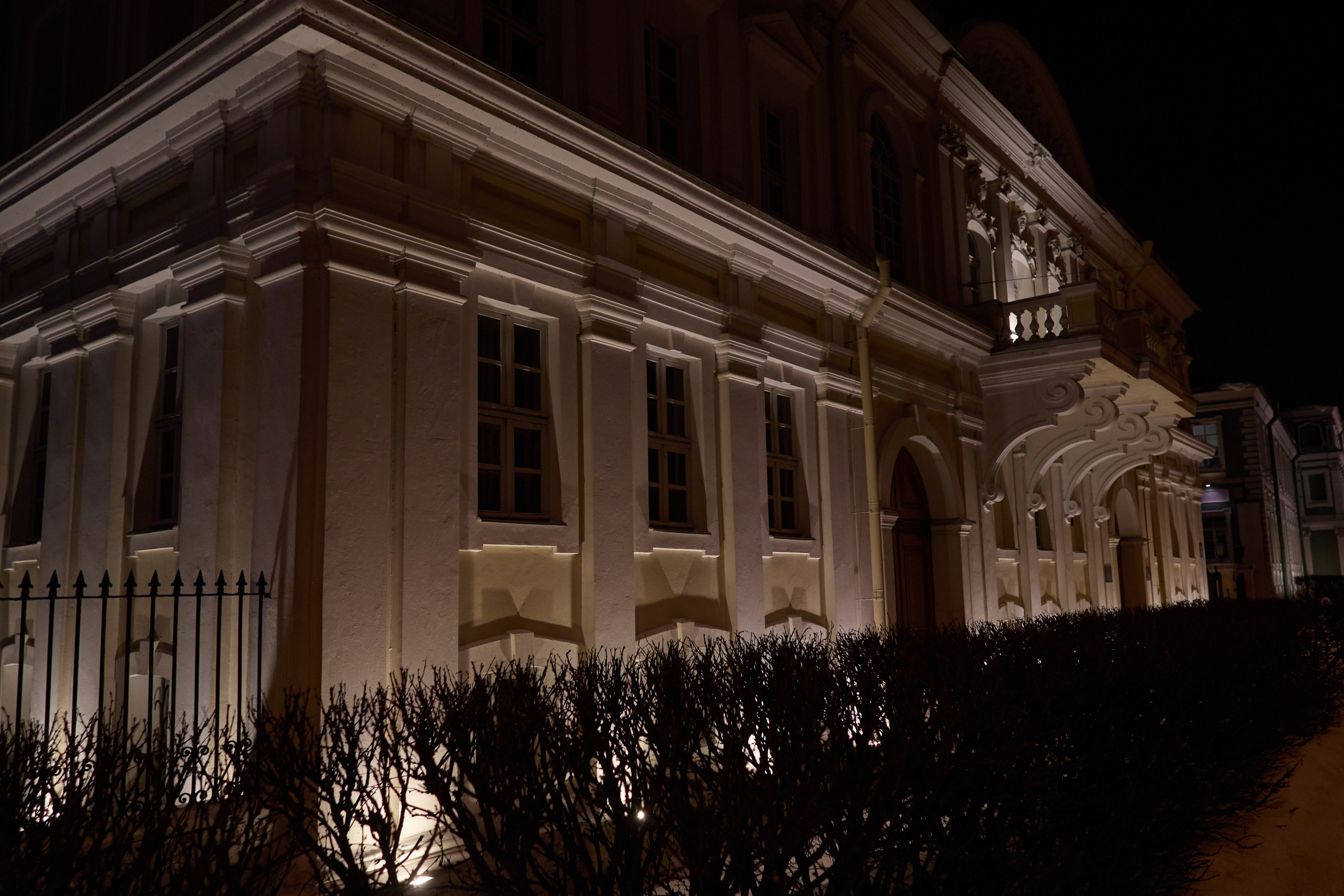 Рождество въ Санктъ-Петербургѣ. Фотографъ Сергѣевъ. Поймать мгновеніе