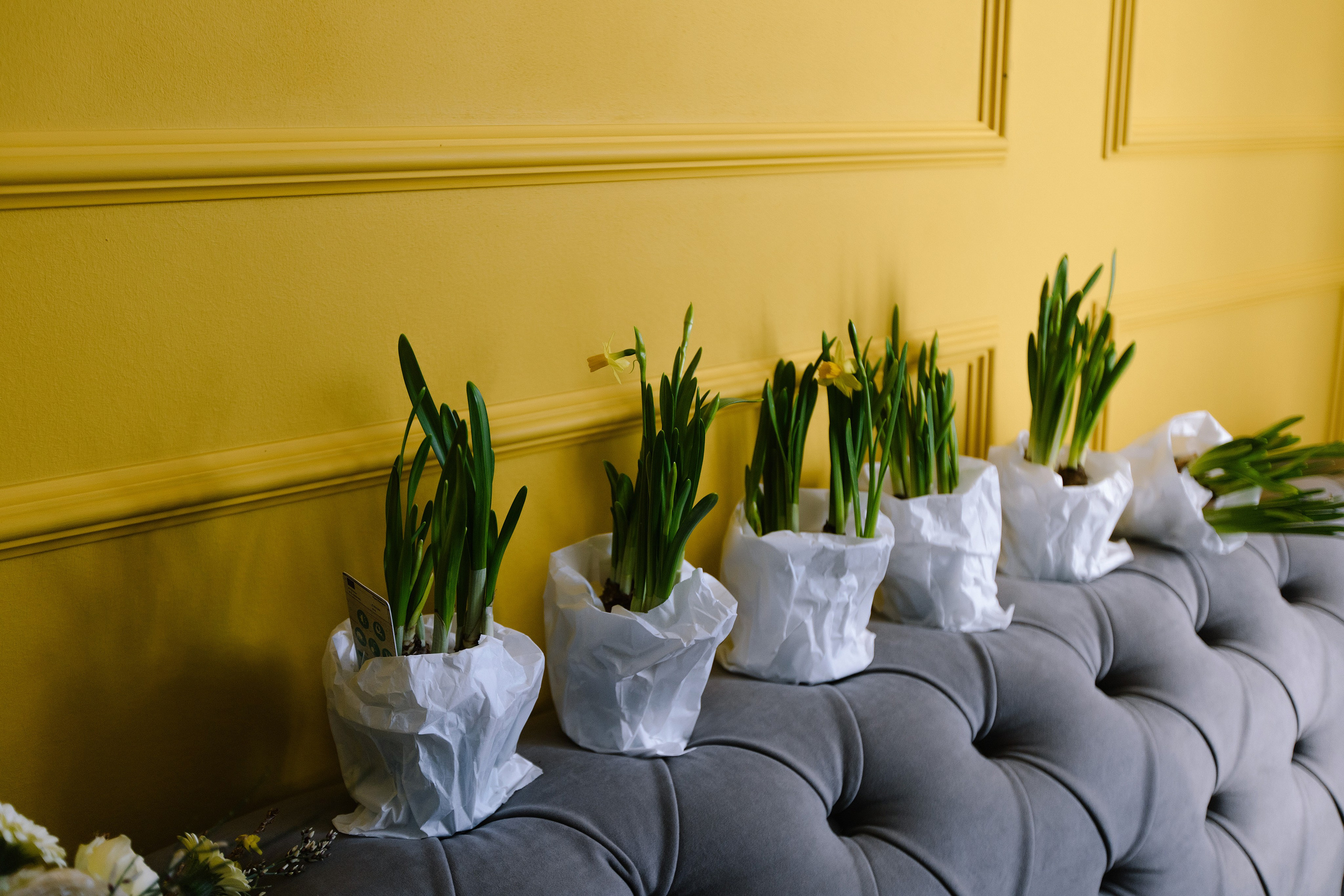 Творческая. Свадебный и семейный фотограф Челябинск и Челябинская область