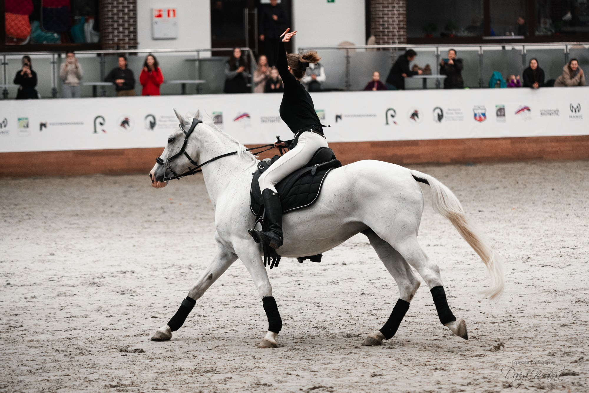 8-я международная выставка Конная Россия. Конный фотограф Куракина Дарья • Фотосессии с лошадьми