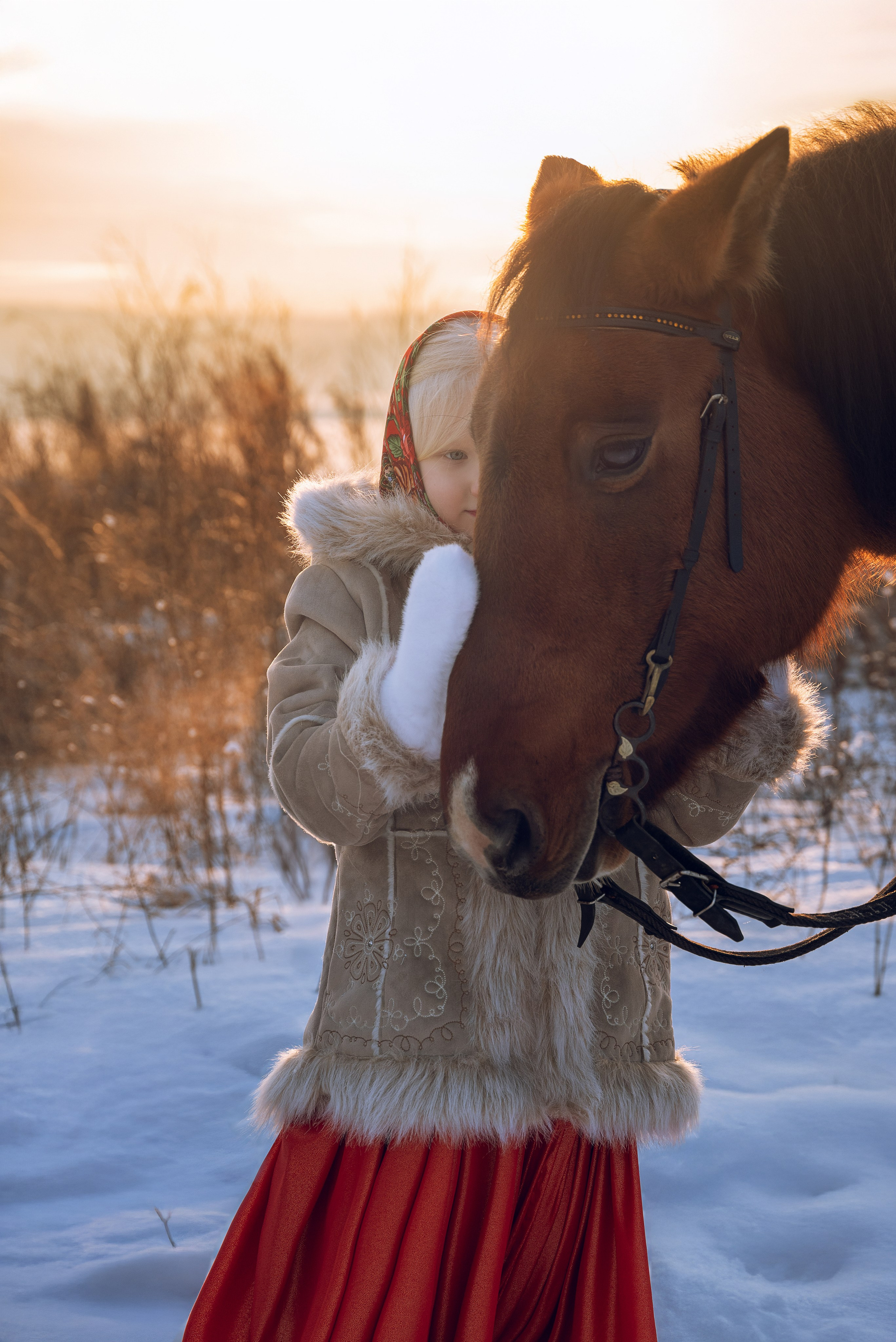 Съемка с лошадью Иркутск Иркутская область. Сайт фотографа Елены Коноваловой Иркутск