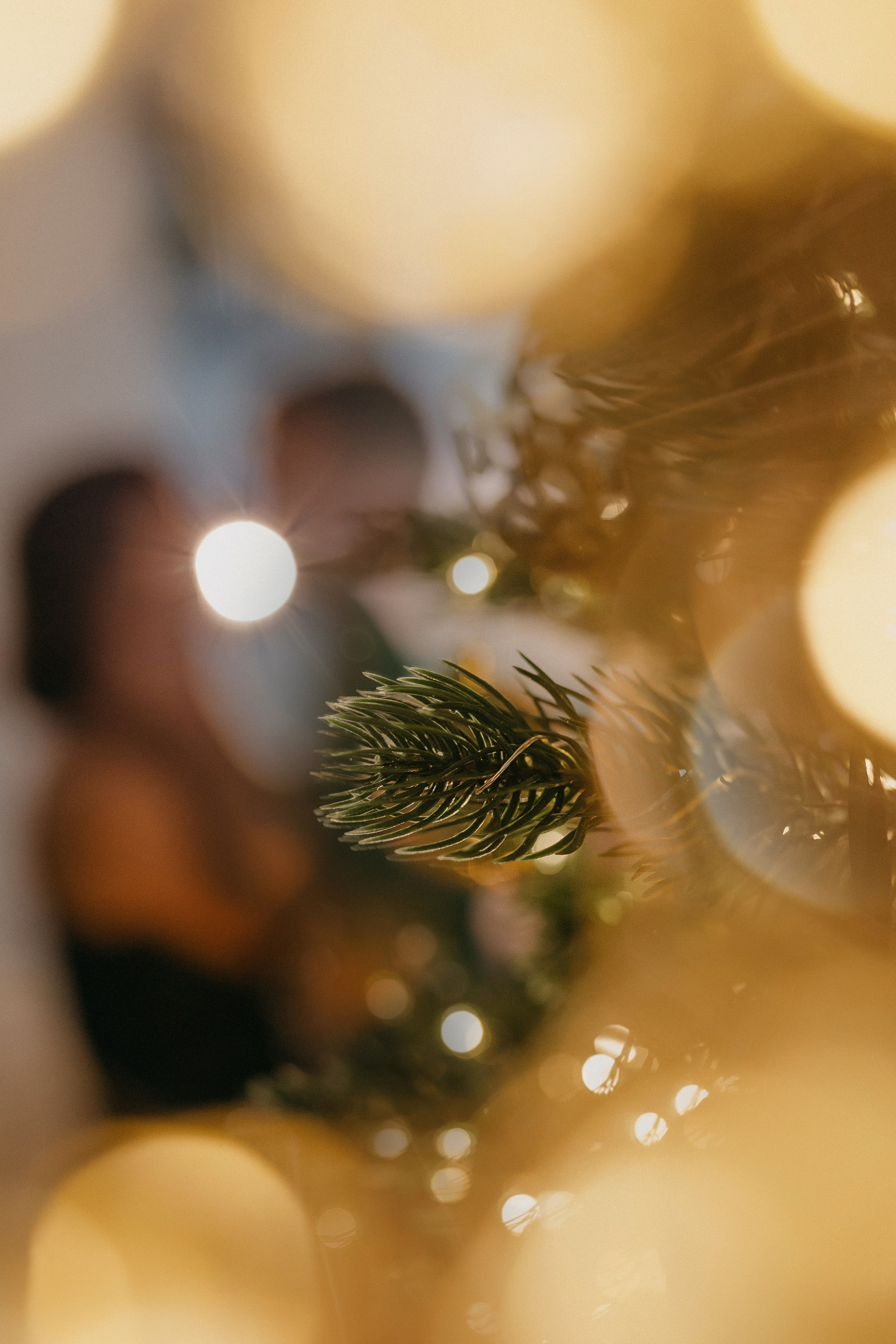 Сеня + Сашка. Семейный фотограф в Сургуте