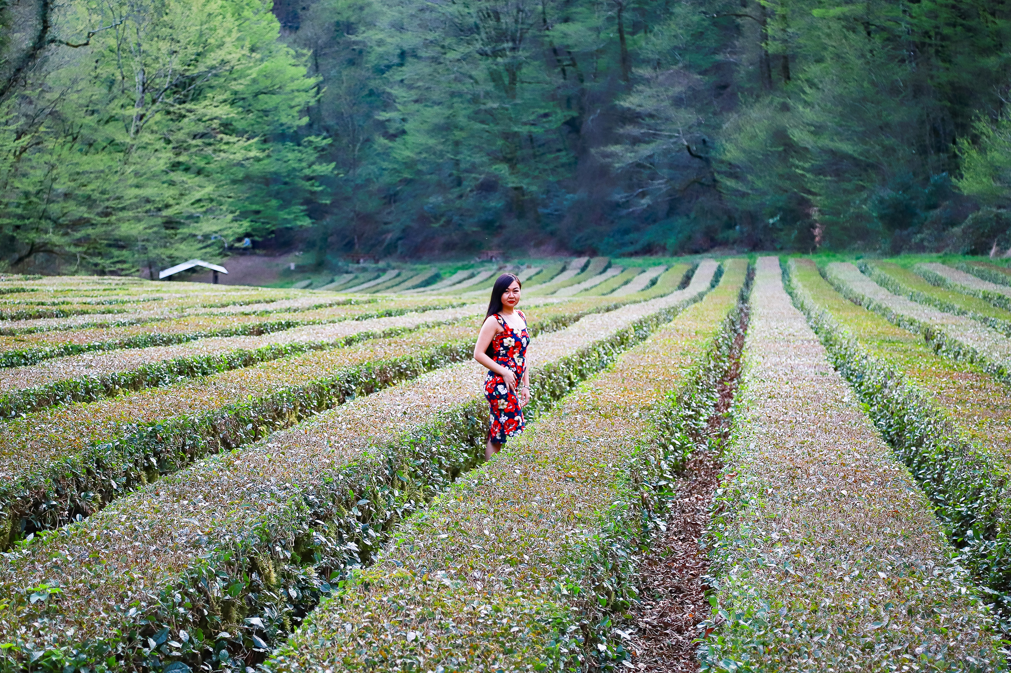 Альфия. Фотограф в Сочи! Детские, семейные свадебные фотосессии! Главный эмоци