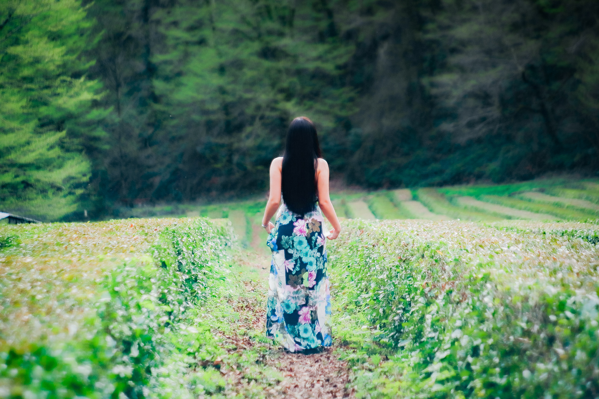 Альфия. Фотограф в Сочи! Детские, семейные свадебные фотосессии! Главный эмоци